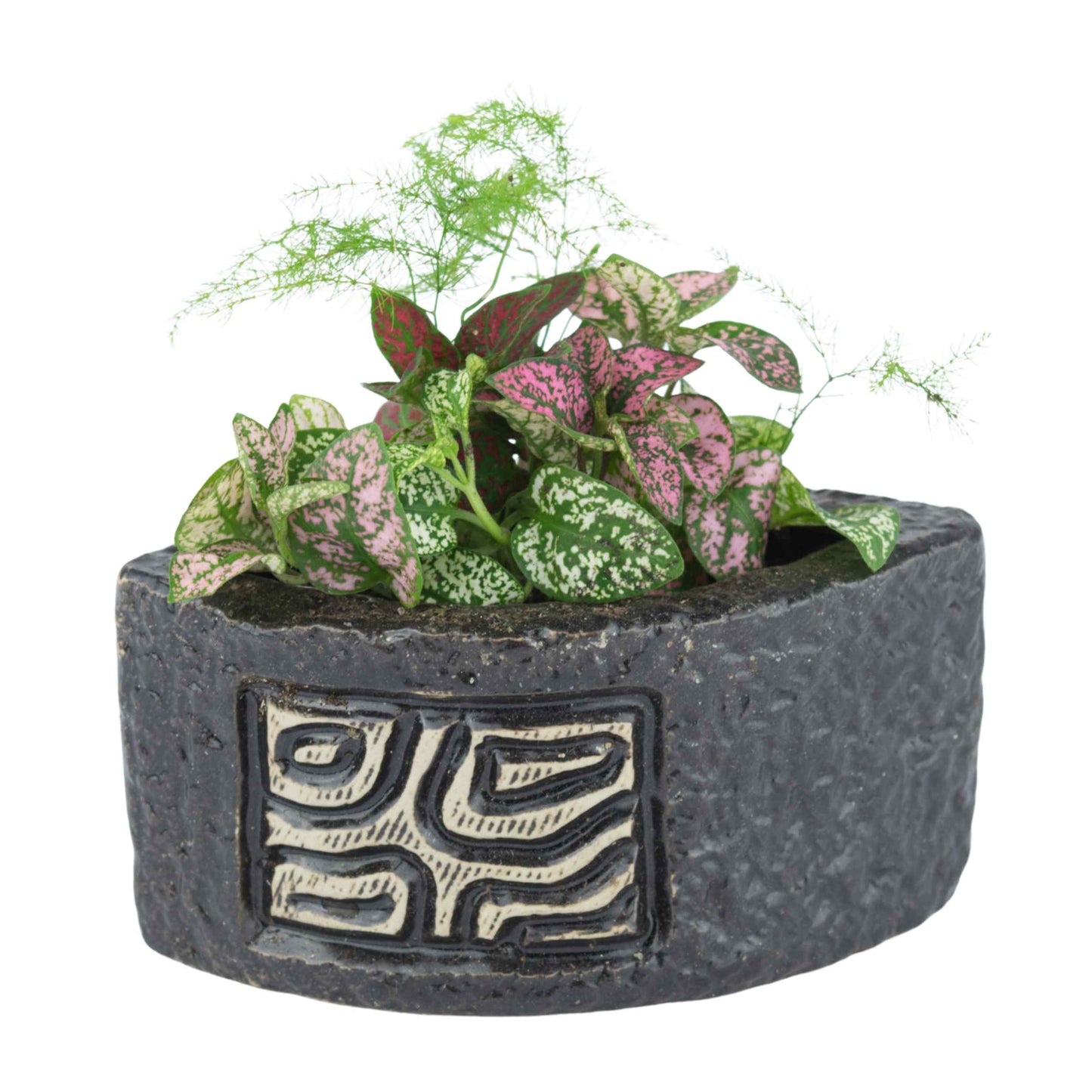 Fin Mosaic Ripple Planter