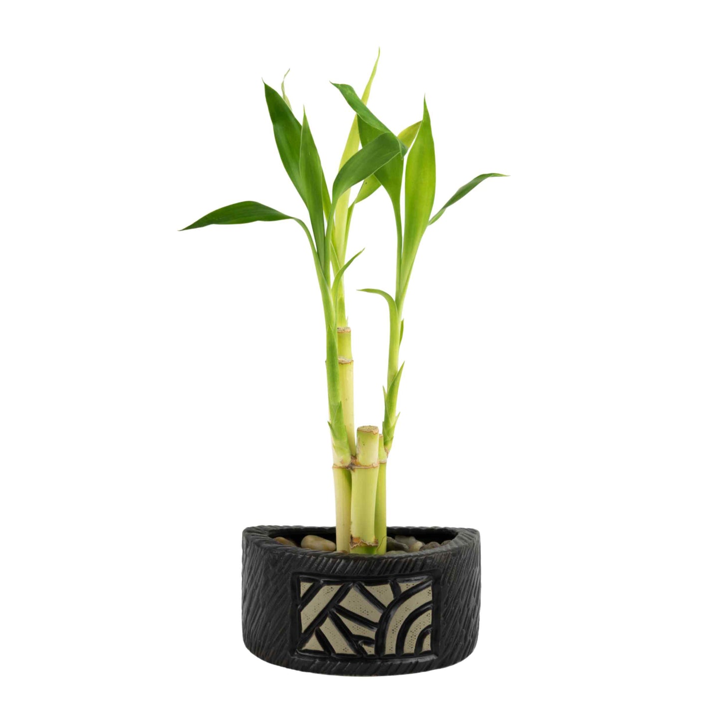 Ceramic Half Circle Mosaic Planter