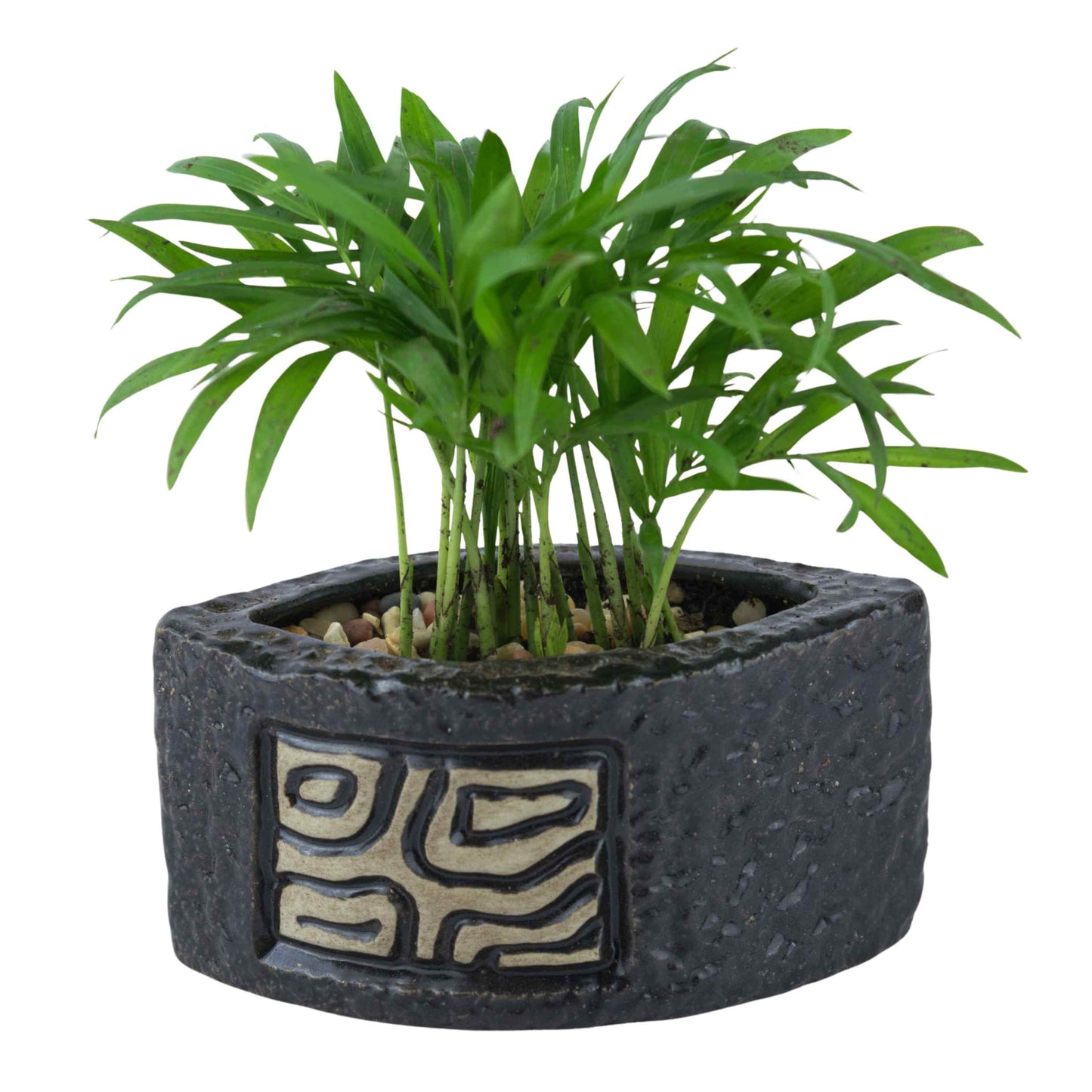 Fin Mosaic Ripple Planter