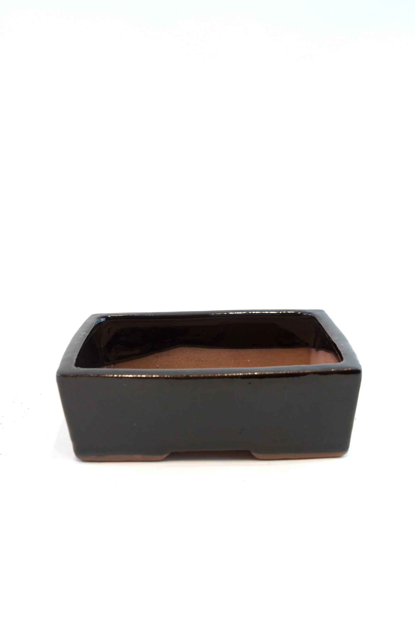 Glazed Bonsai Pot 6"