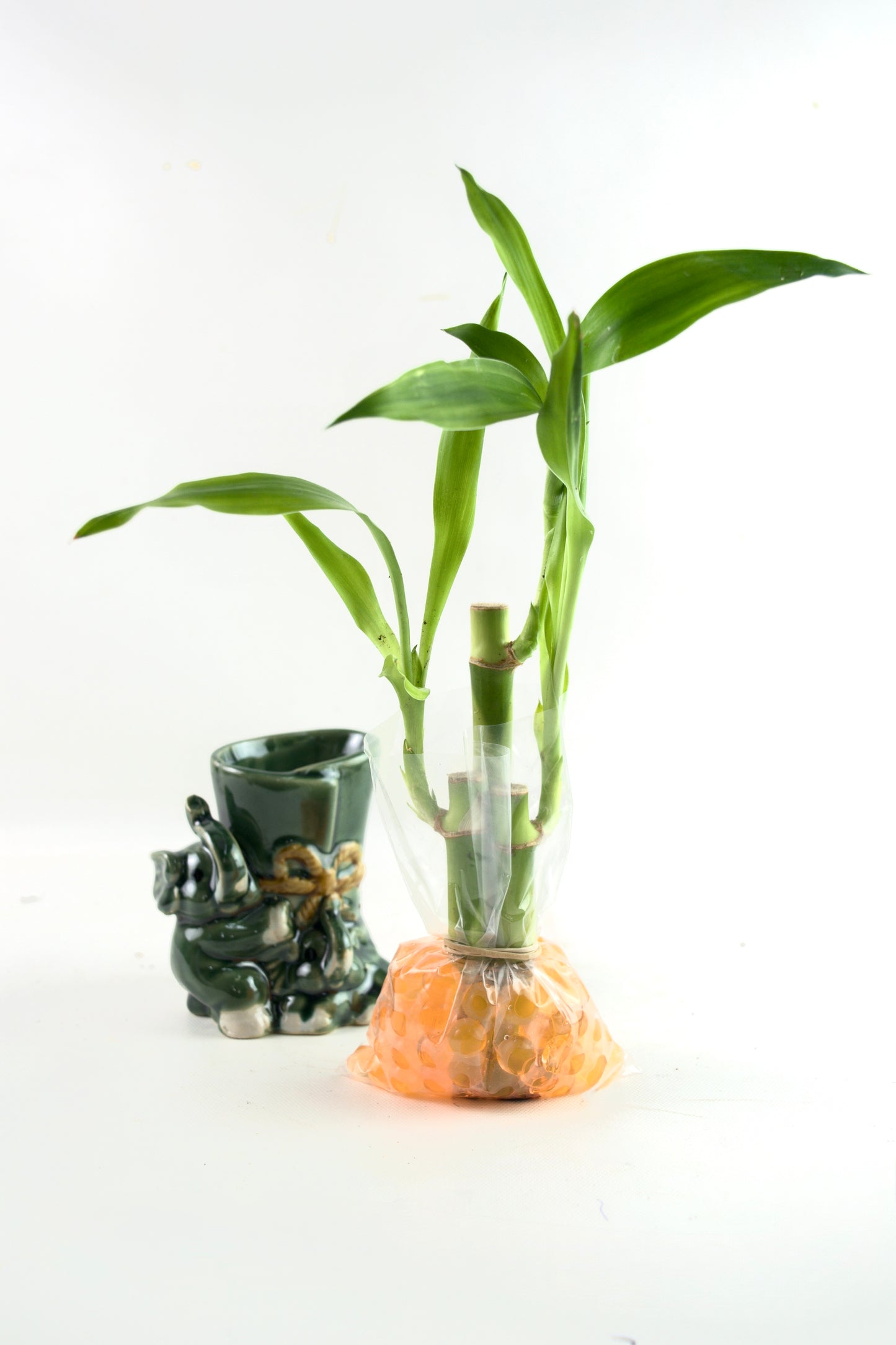 Elephants Green Planter