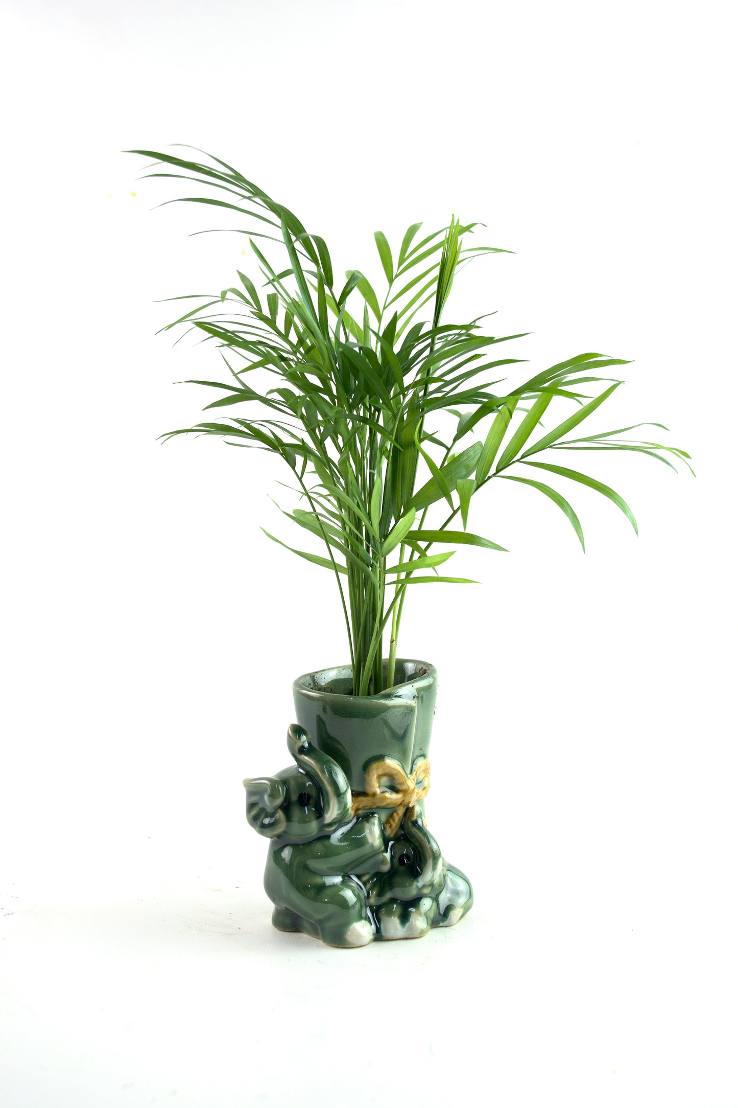 Elephants Green Planter