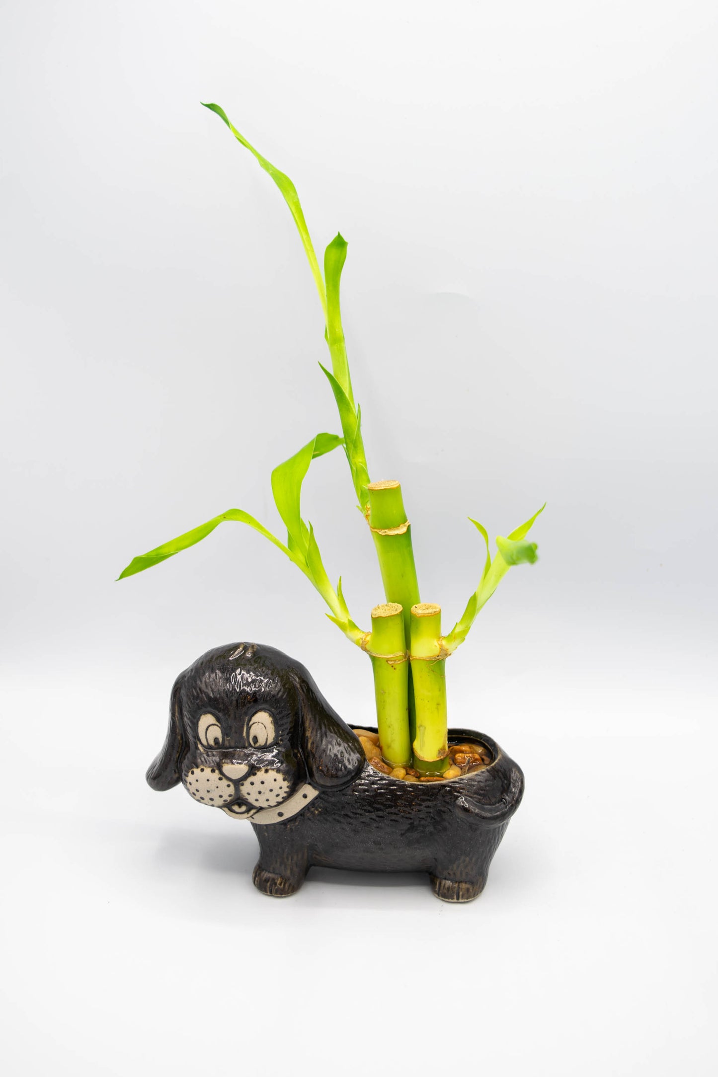 Dachshund Planter
