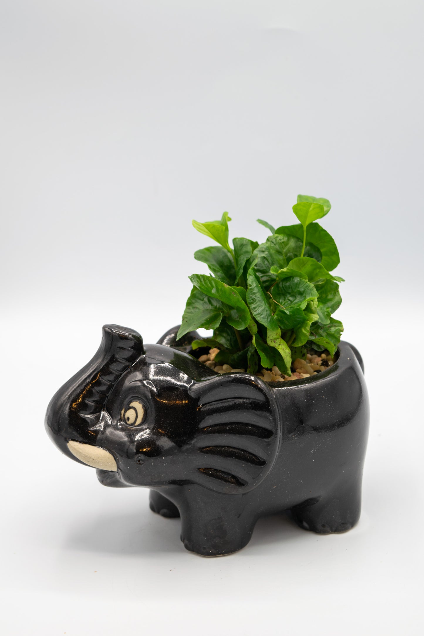 Elephant Large Planter