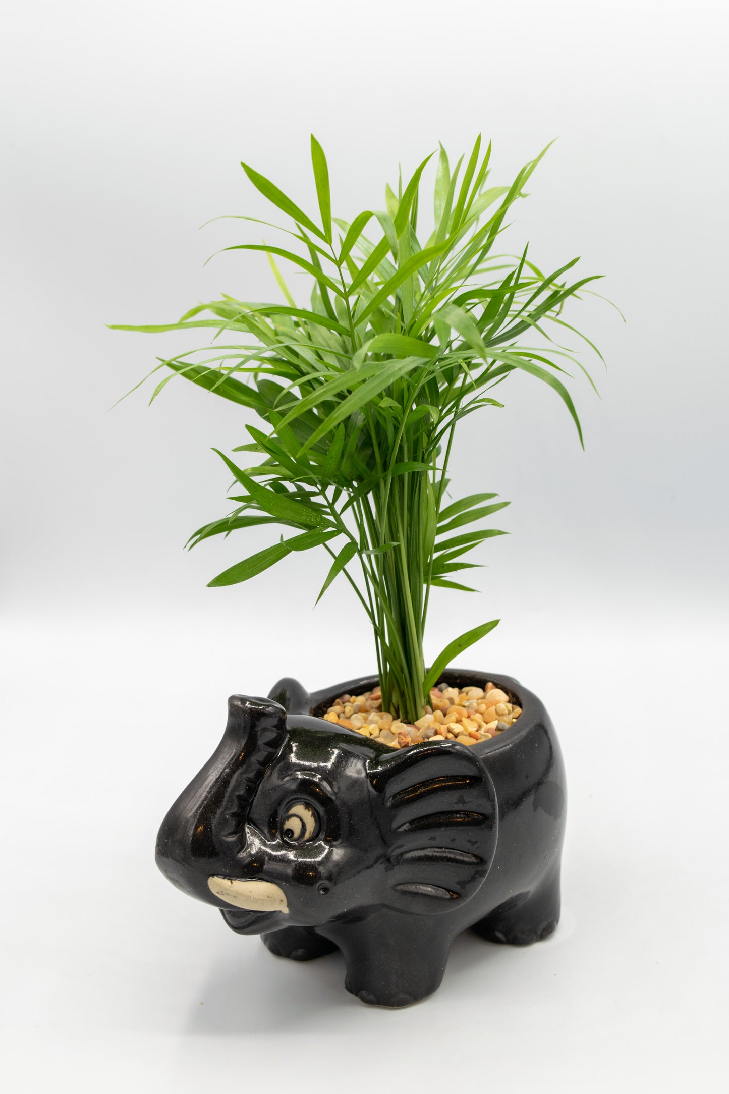 Elephant Large Planter