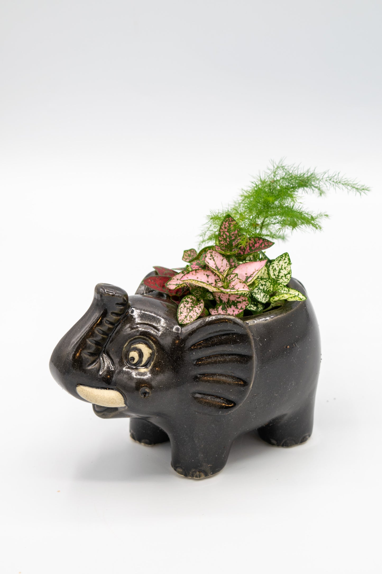 Elephant Small Planter