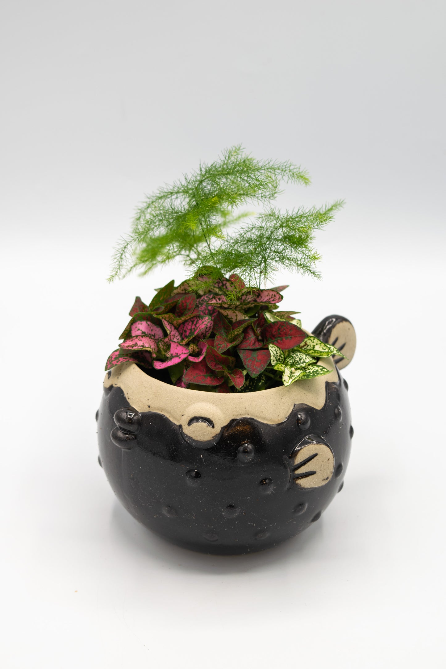 Blowfish Large Planter
