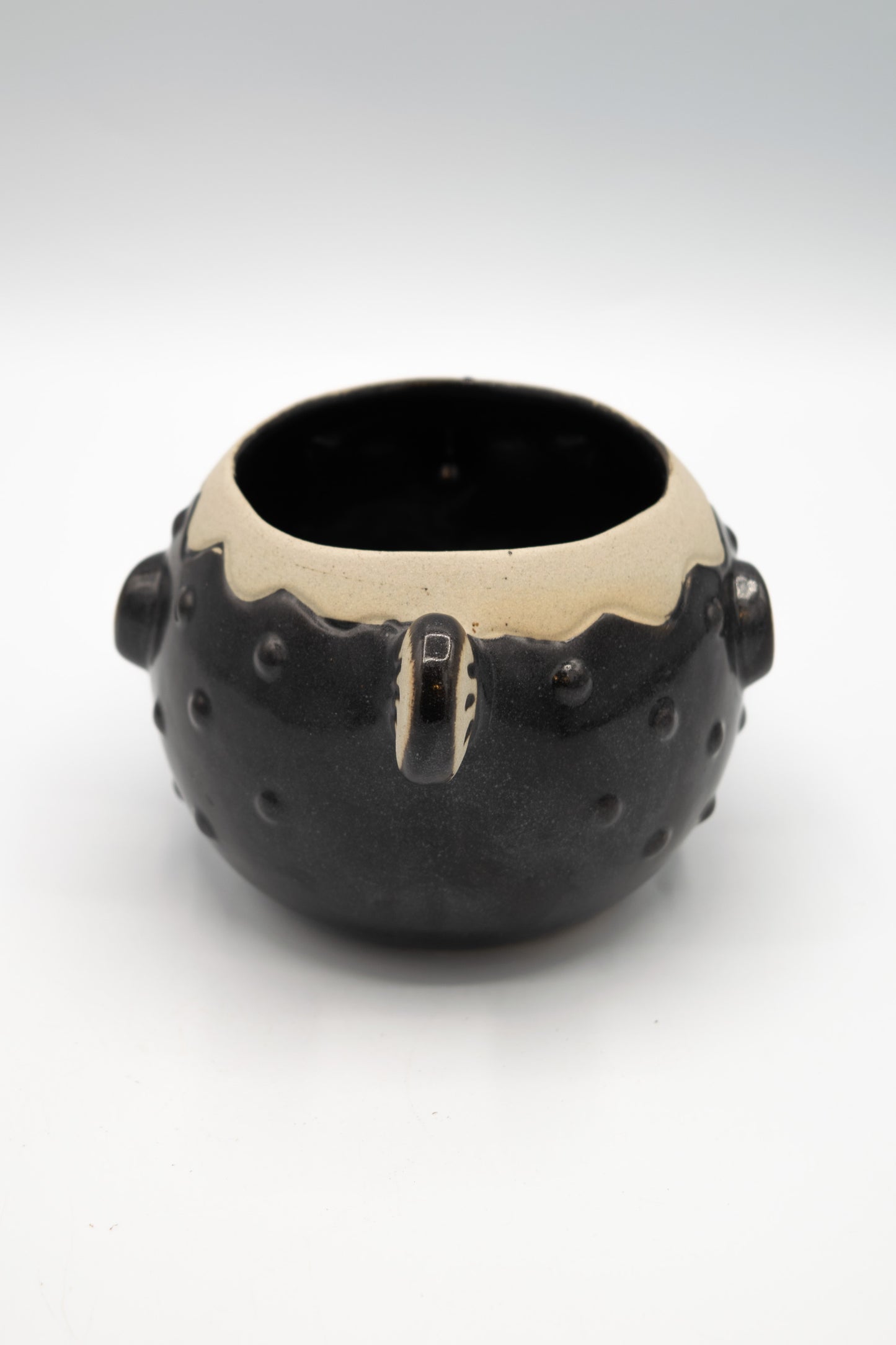 Blowfish Large Planter