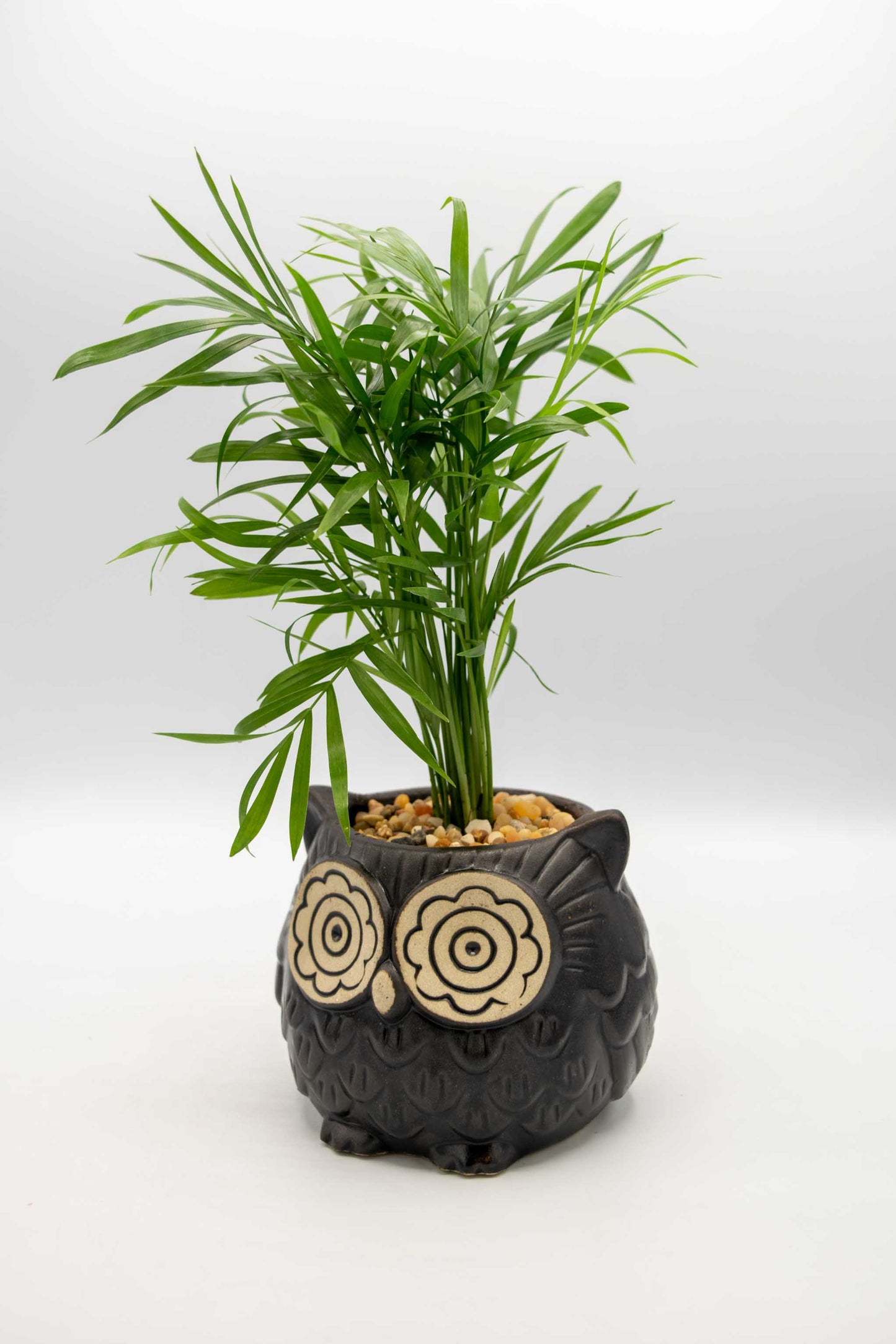 Owl Large Planter