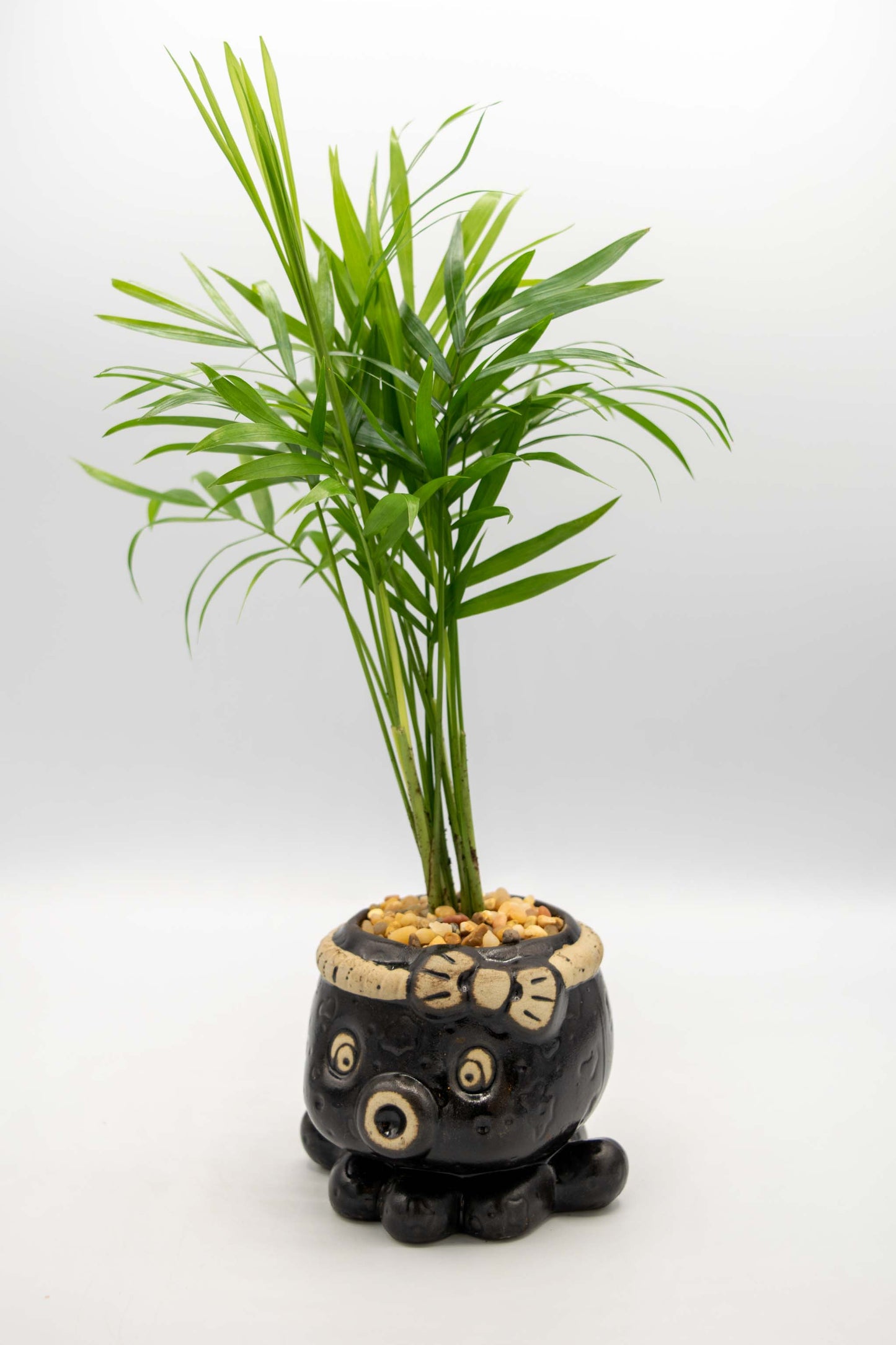 Octopus Planter