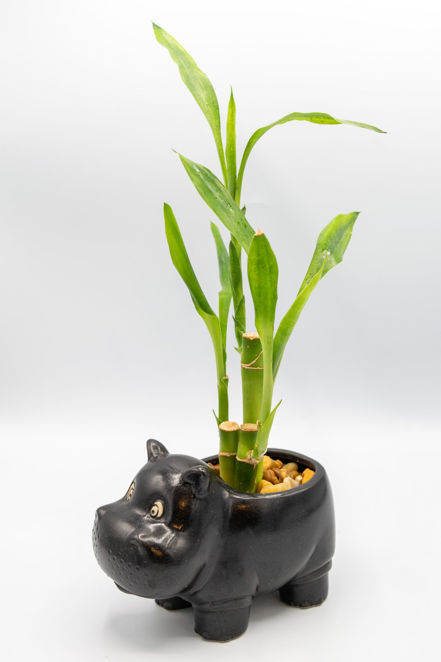 Hippo Large Planter