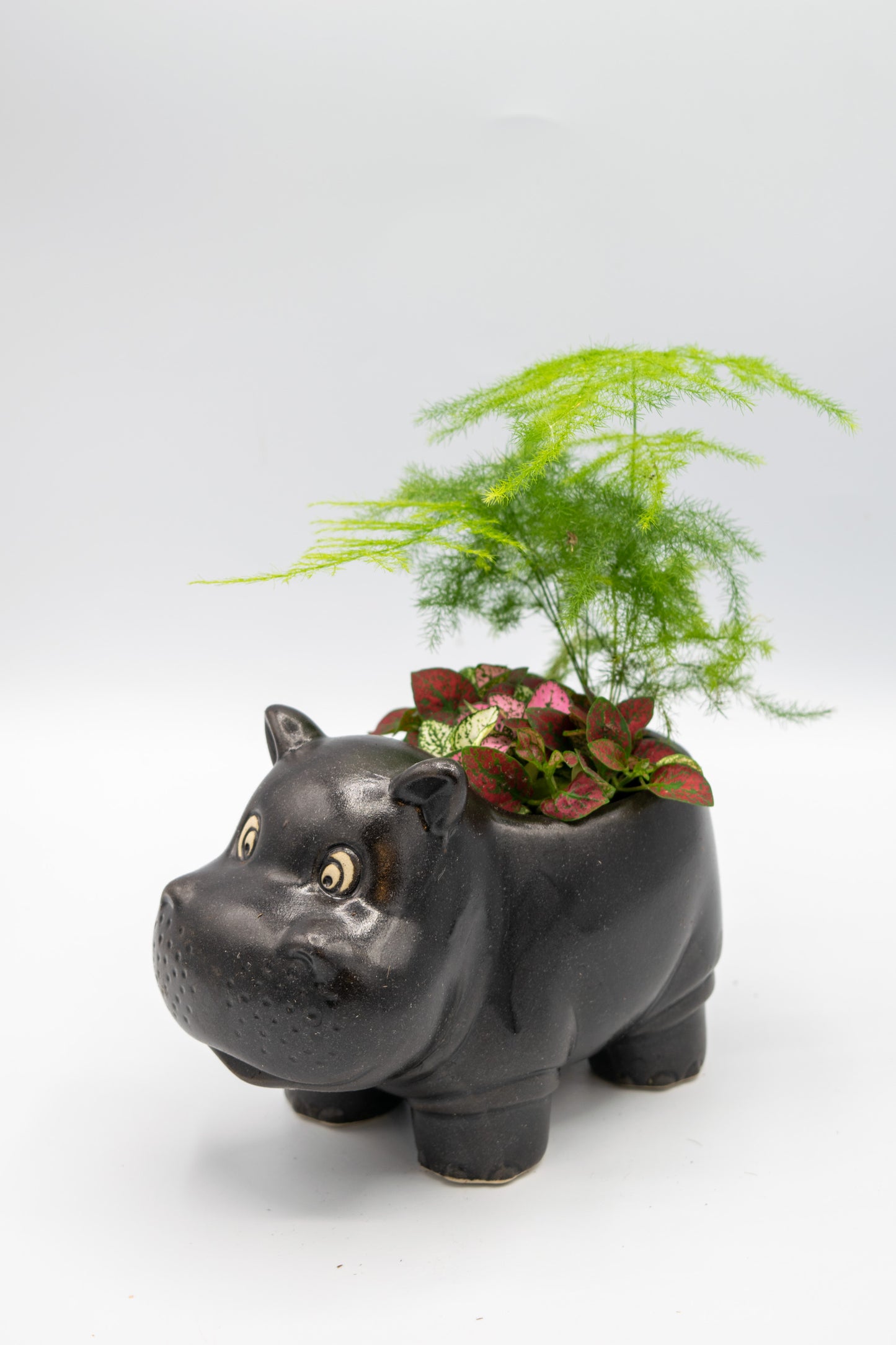 Hippo Large Planter