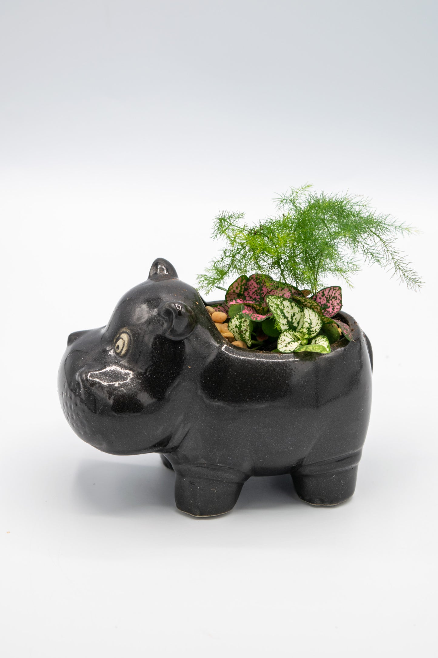 Hippo Small Planter