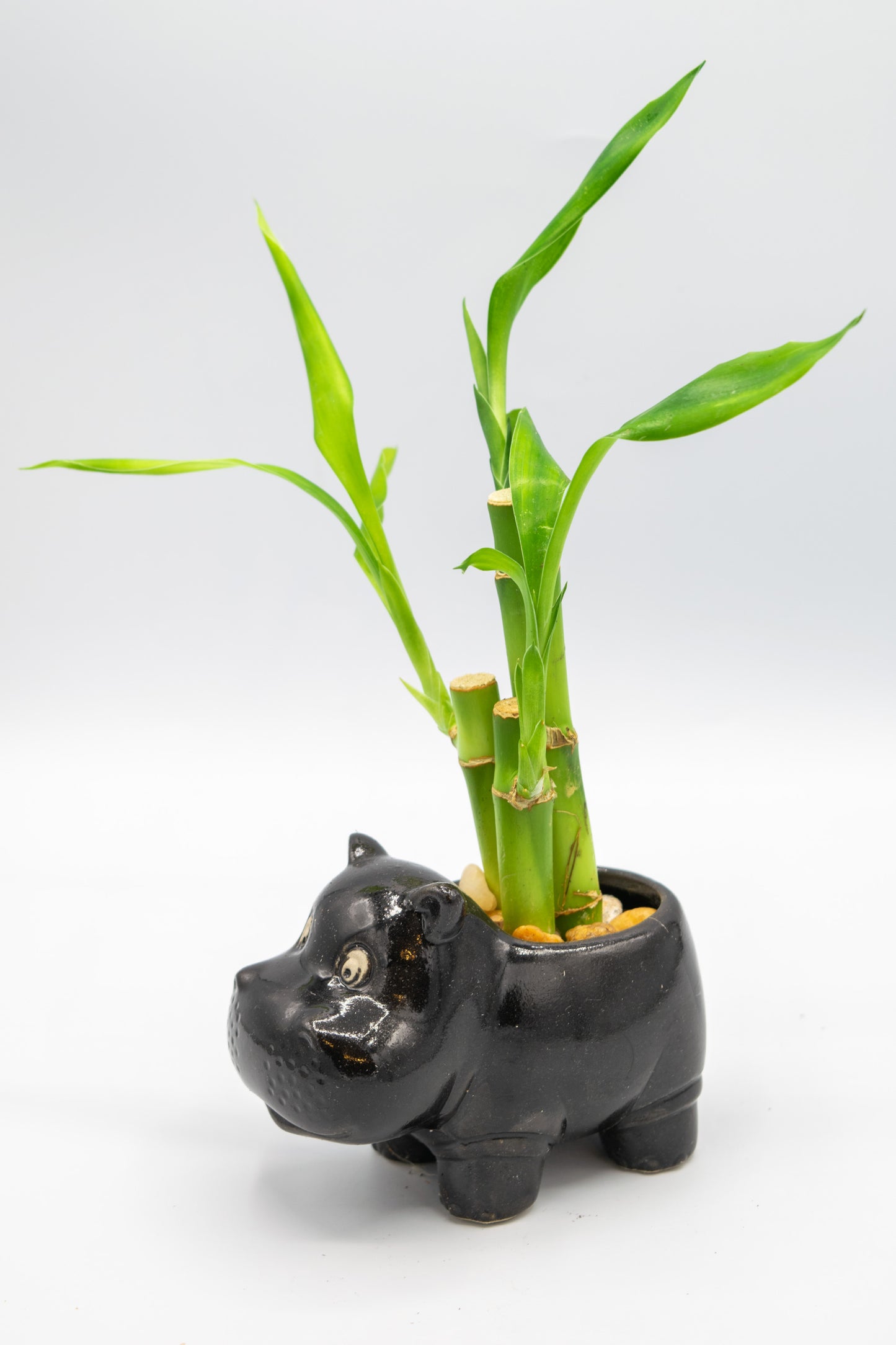 Hippo Small Planter