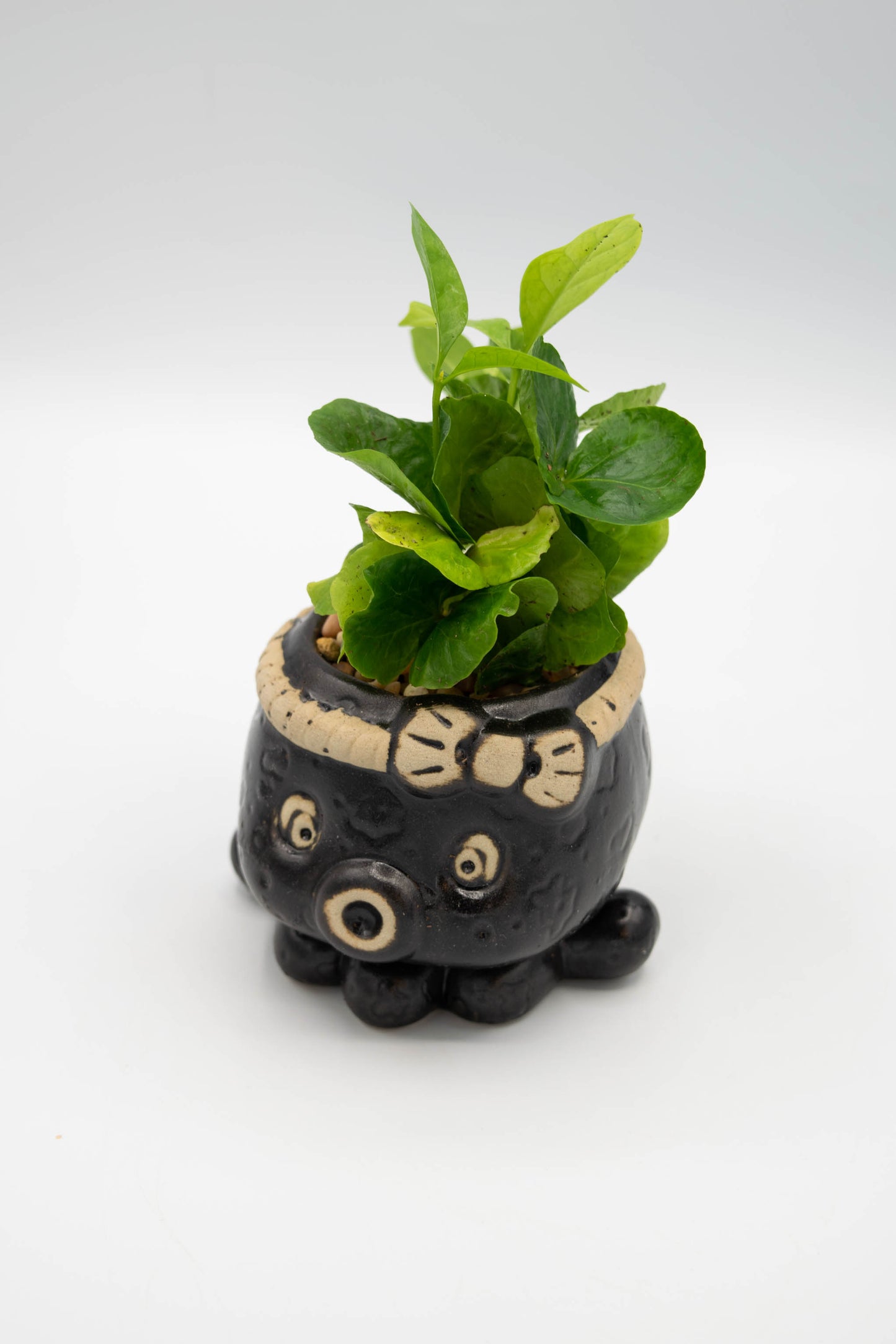 Octopus Planter
