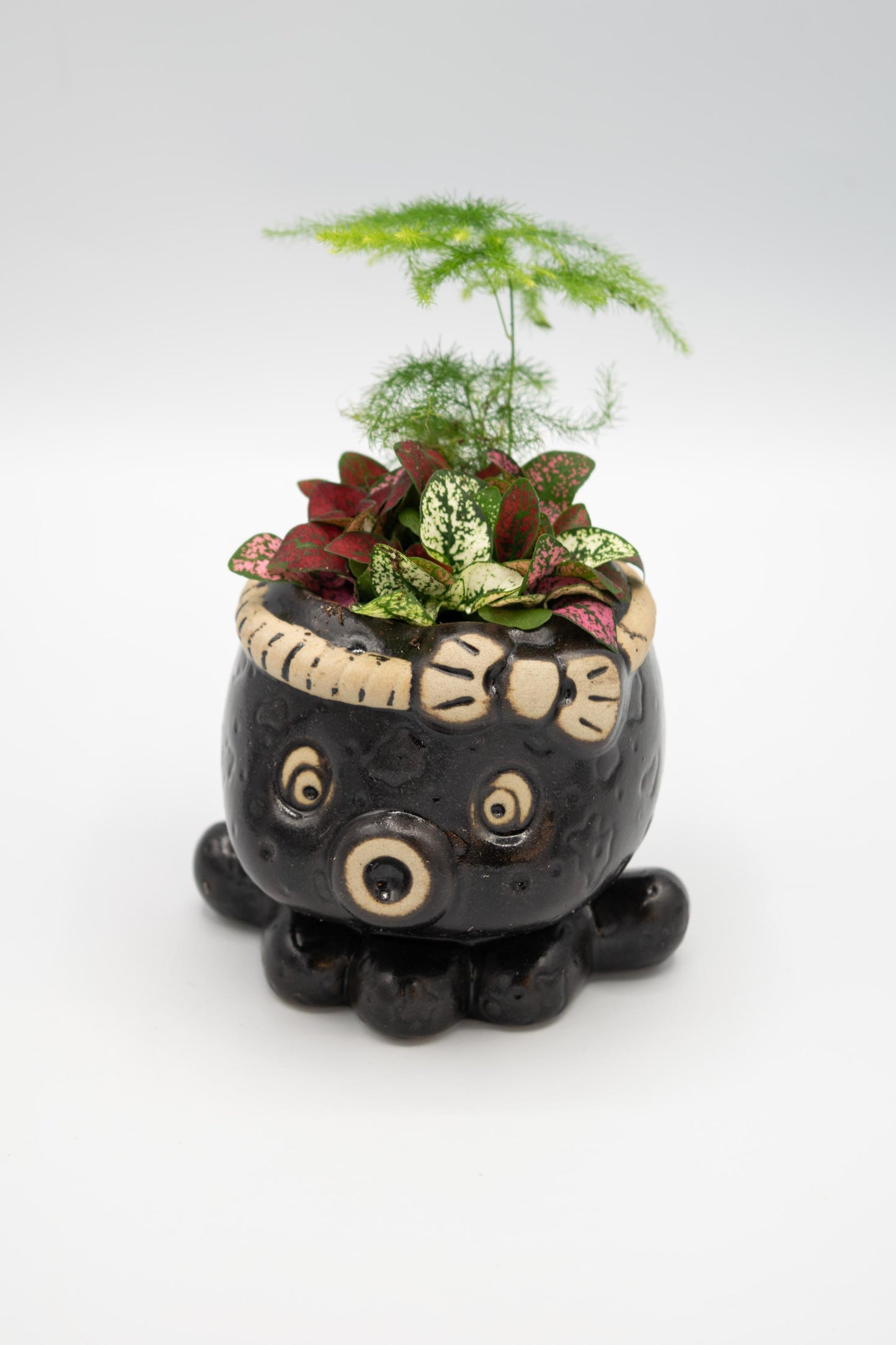 Octopus Planter