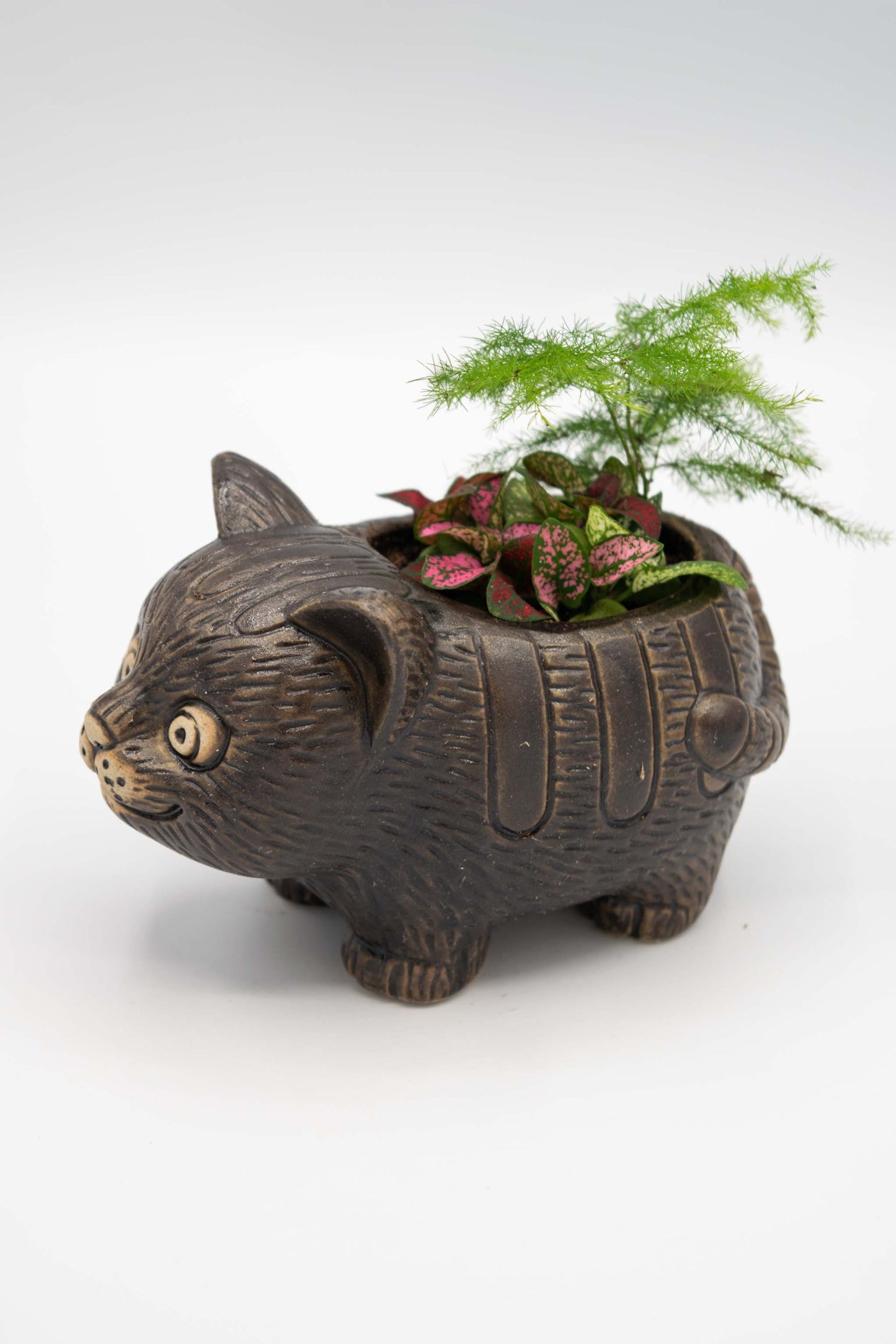Cat Planter