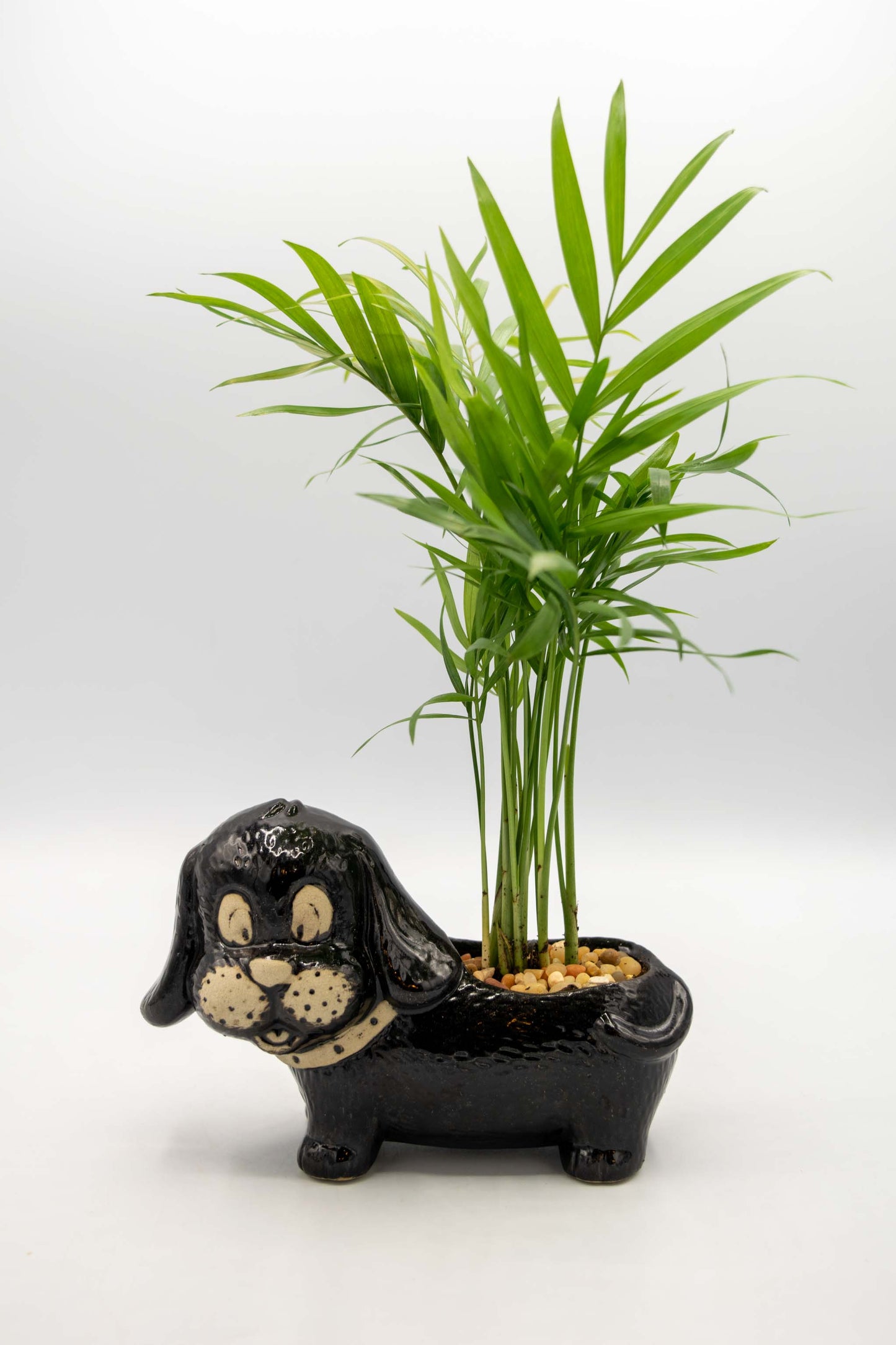 Dachshund Planter