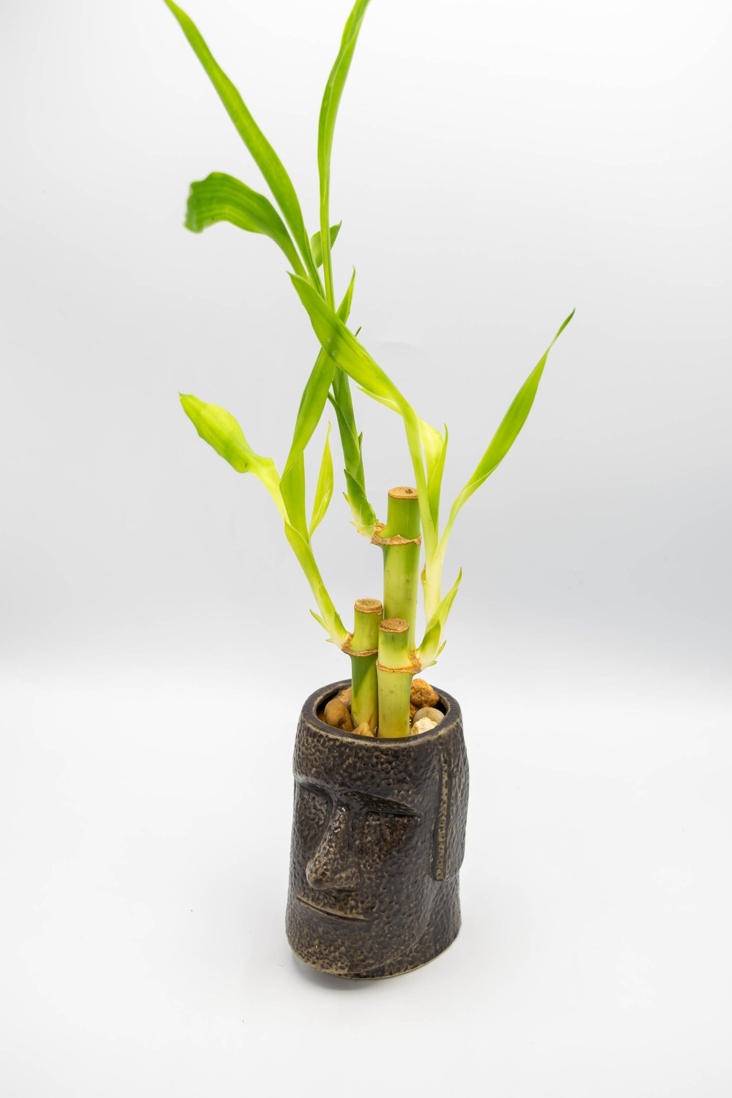 Easter Island Head Planter