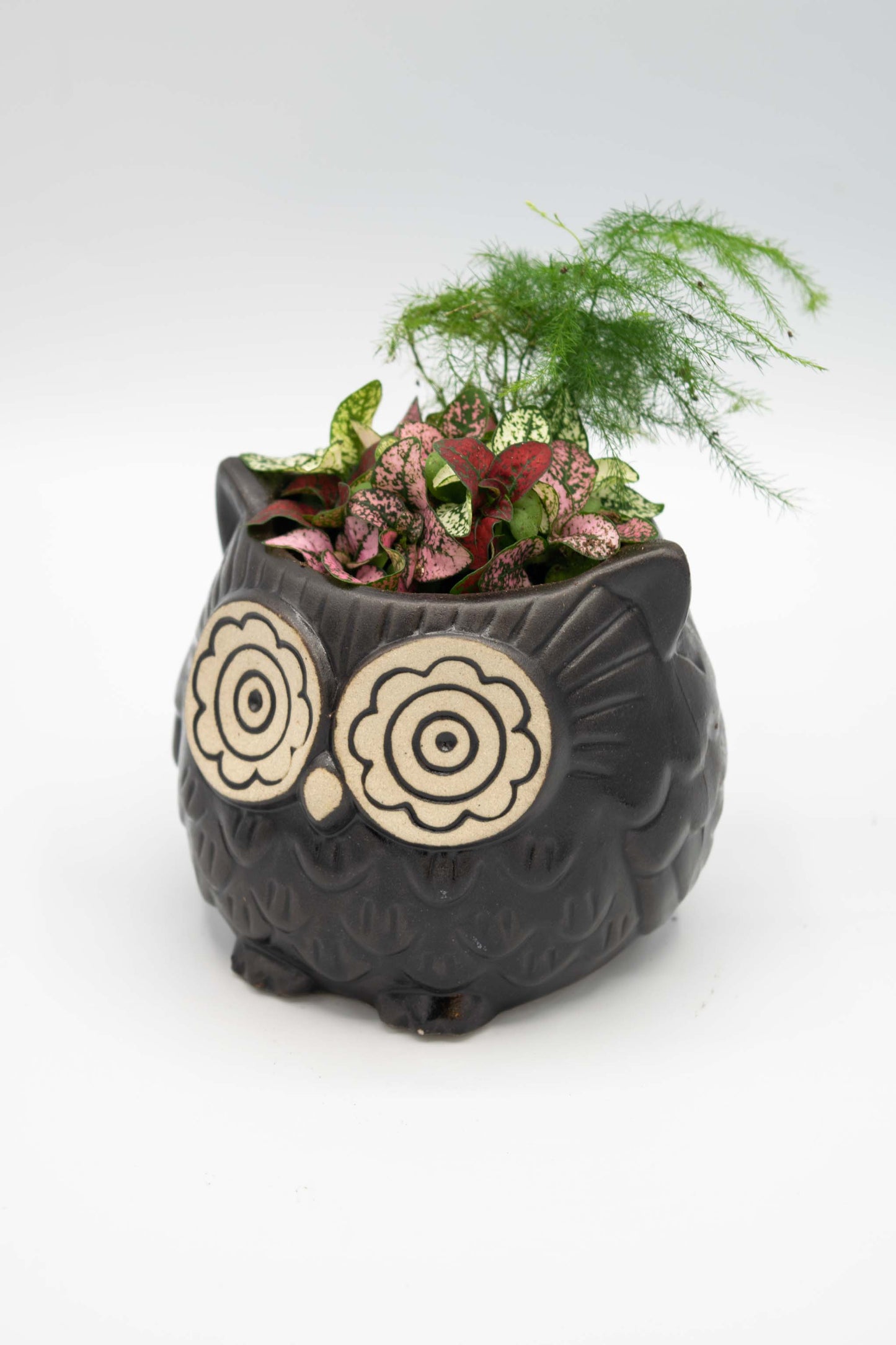 Owl Large Planter