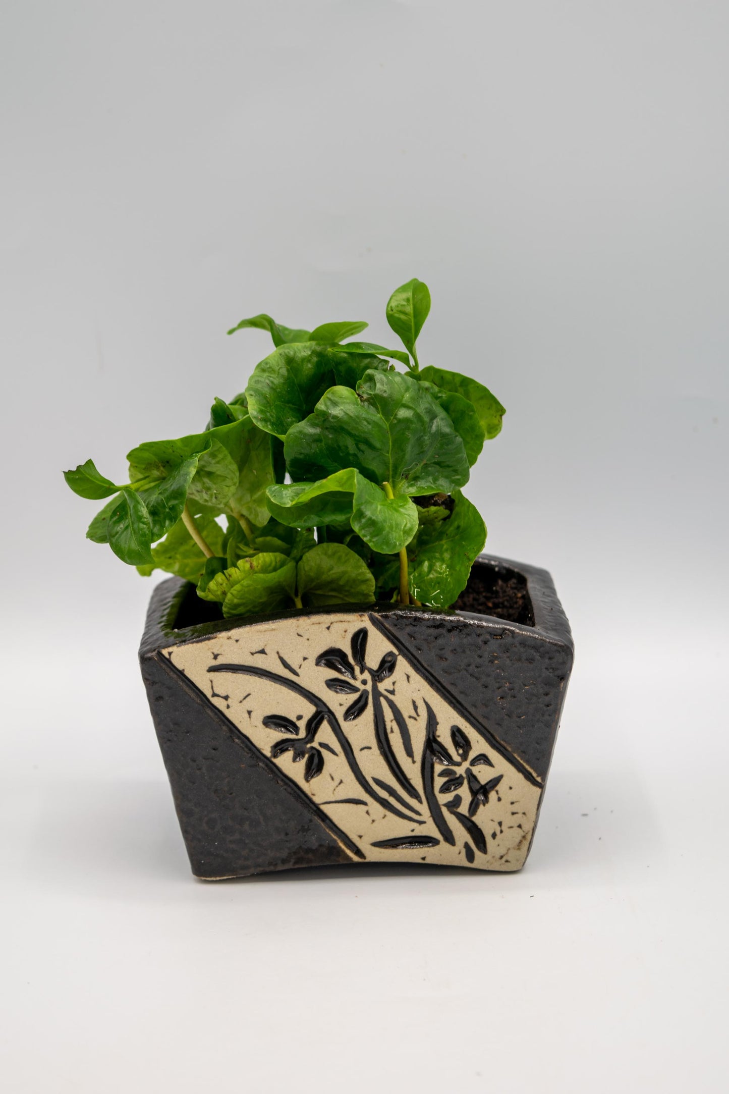 Ceramic Rectangle Orchid Floral Planter