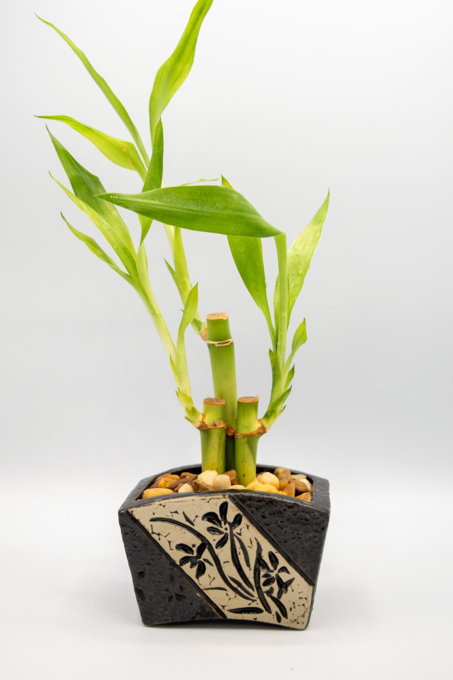 Ceramic Rectangle Orchid Floral Planter