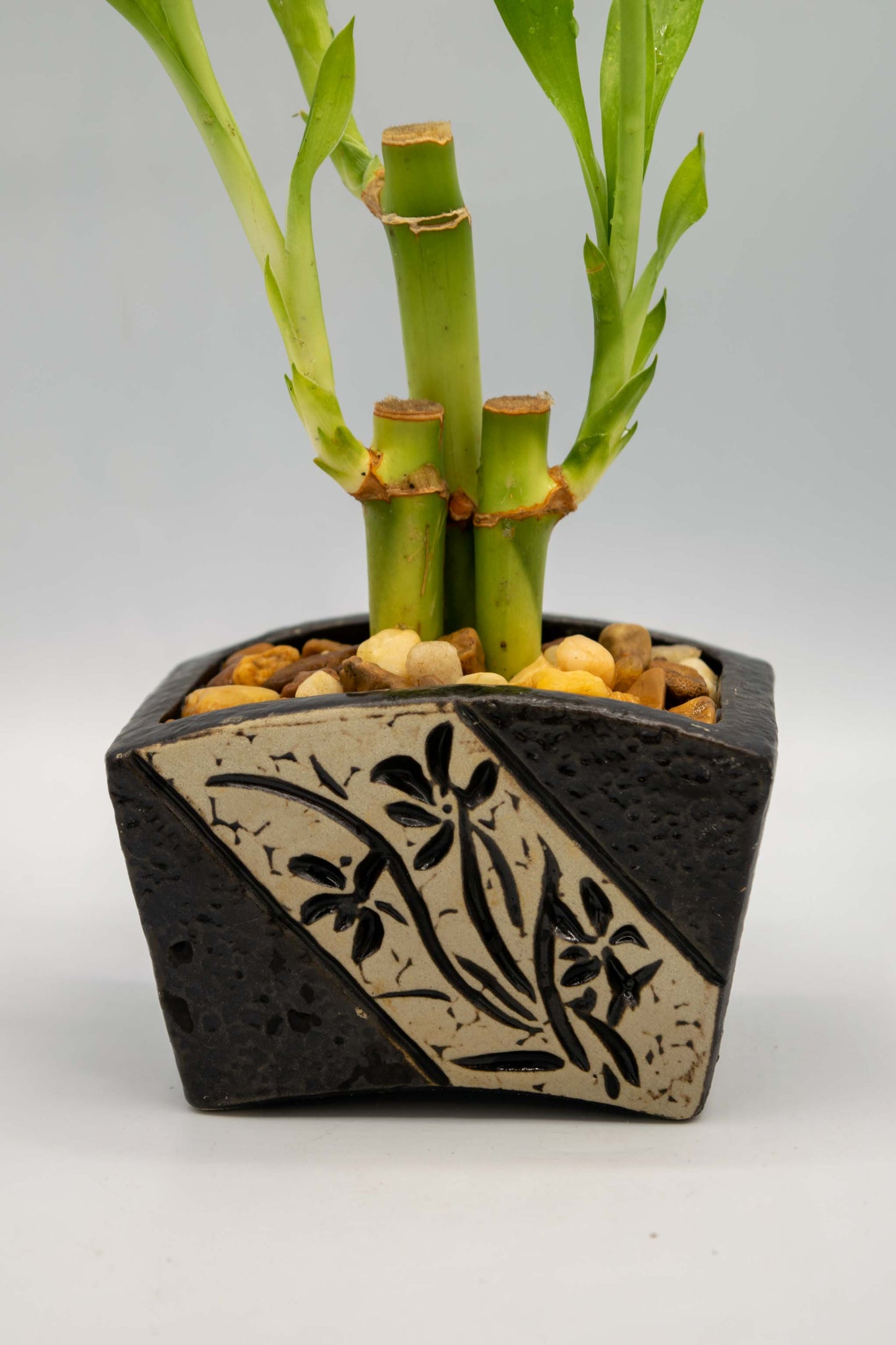 Ceramic Rectangle Orchid Floral Planter