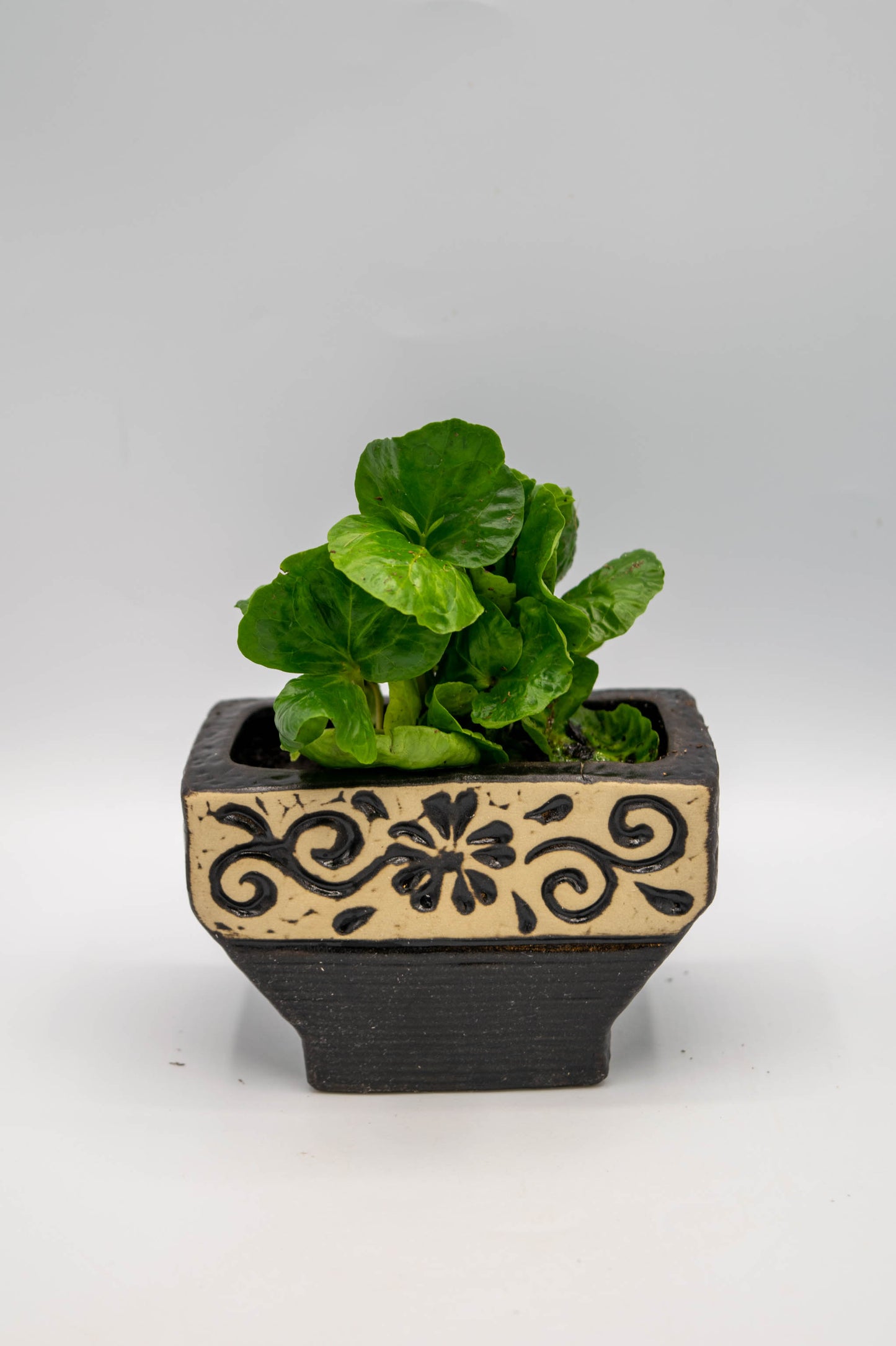 Ceramic Rectangle Foral Planter