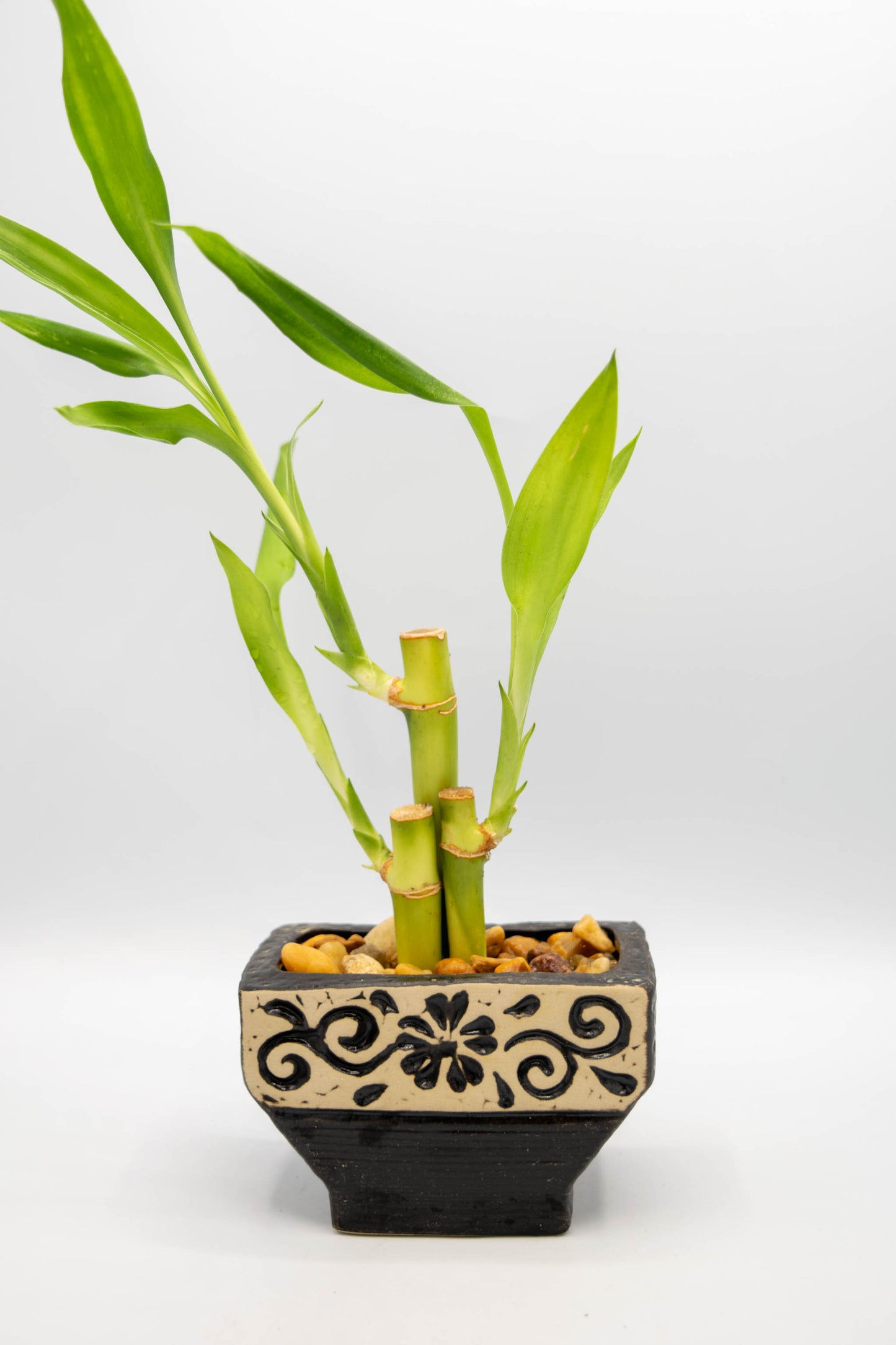 Ceramic Rectangle Foral Planter