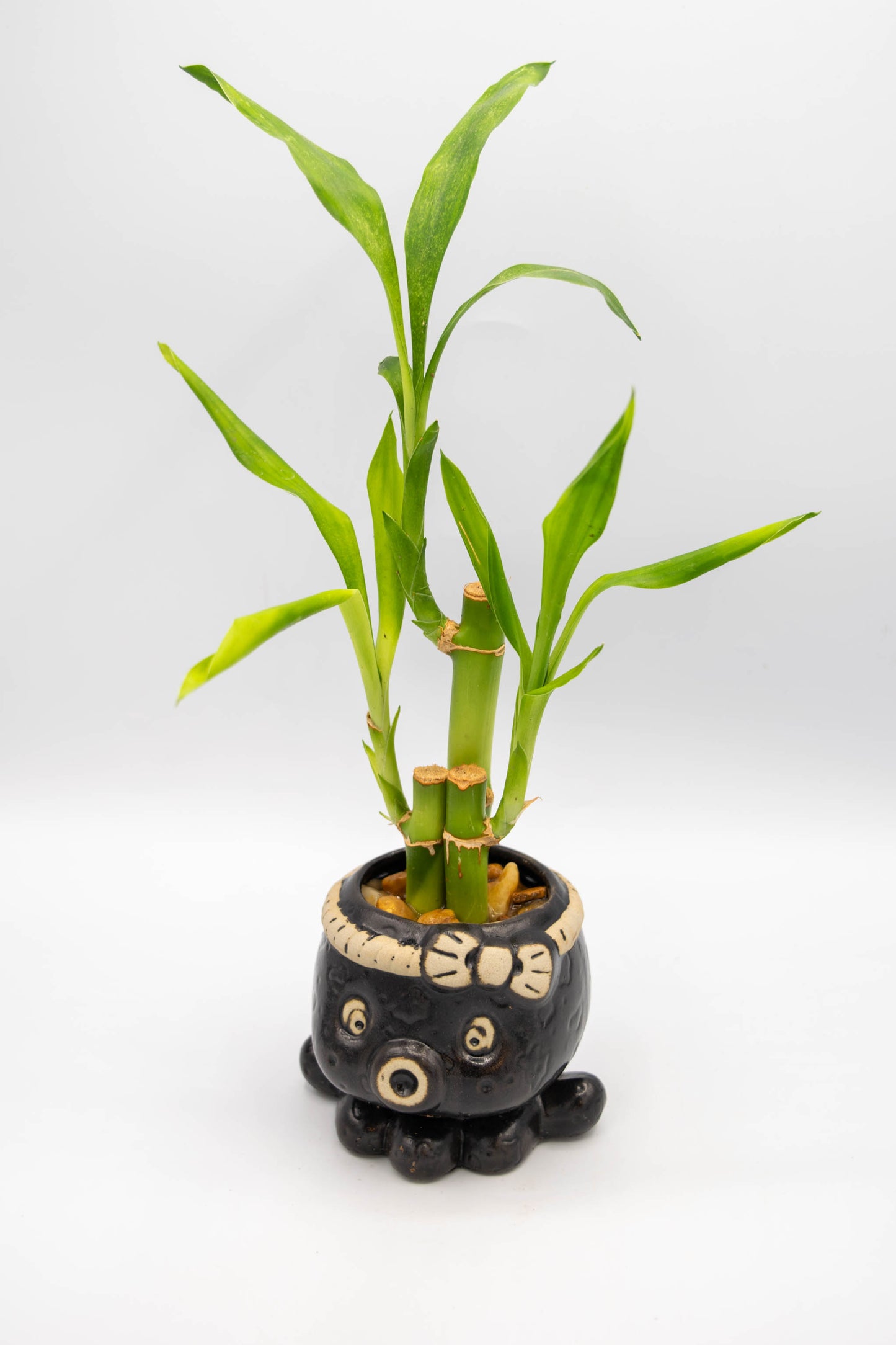 Octopus Planter