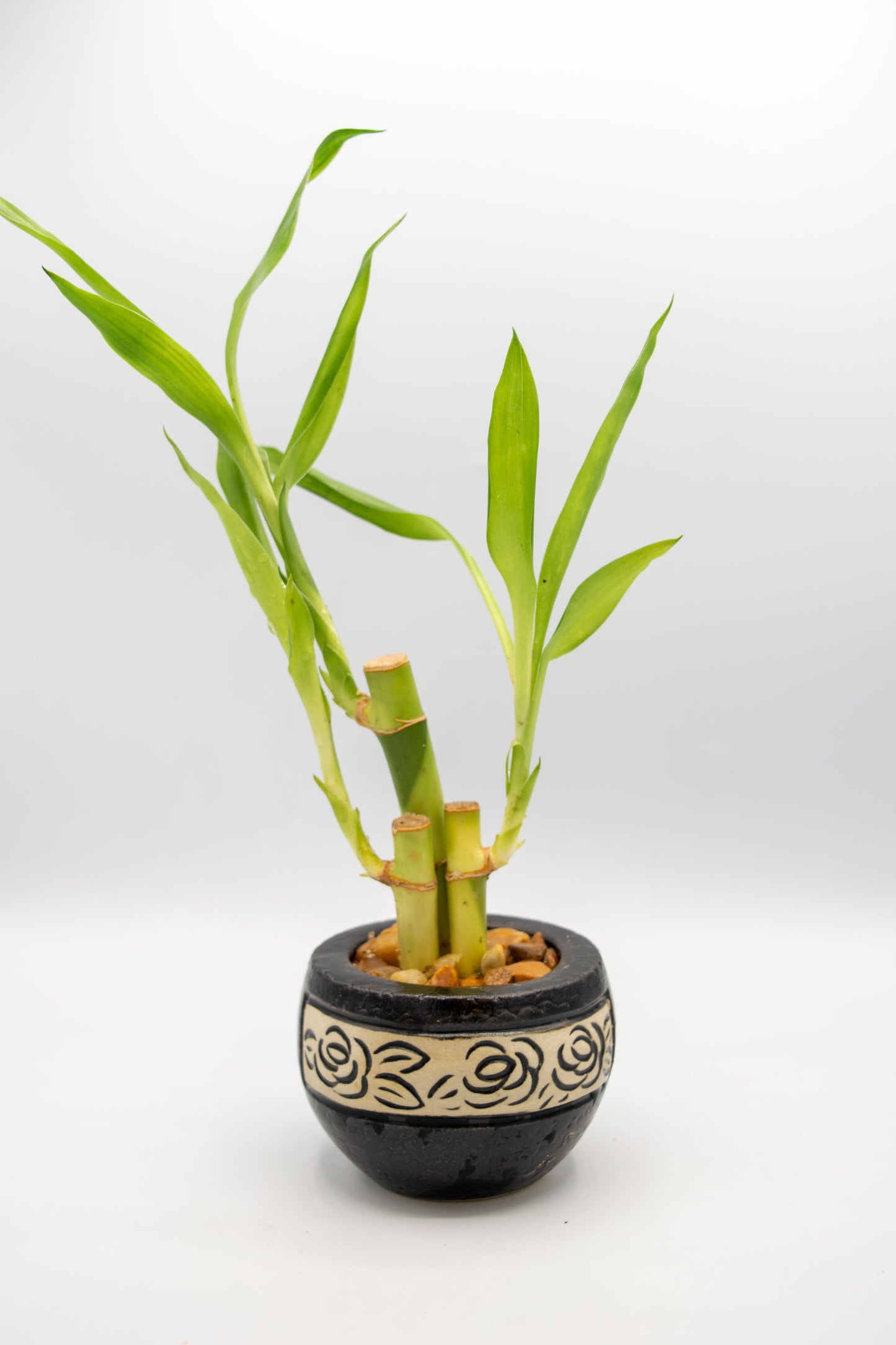 Round Rose Floral Planter