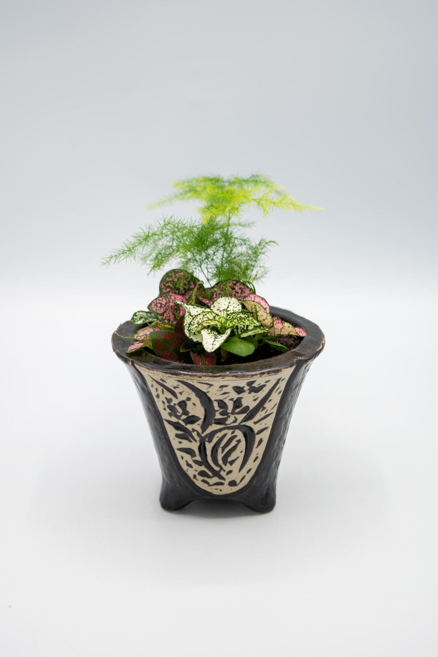 Orchid Planter
