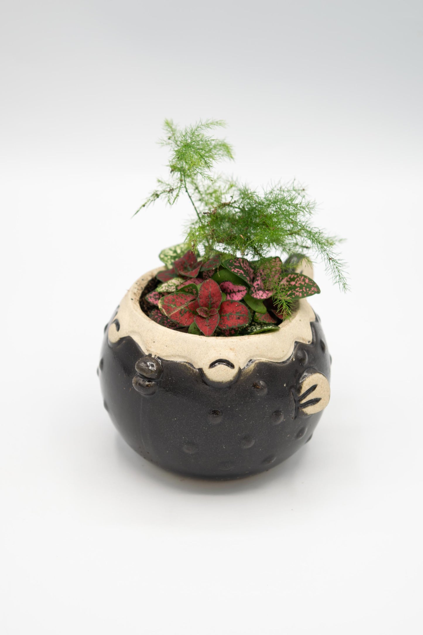 Blowfish Small Planter