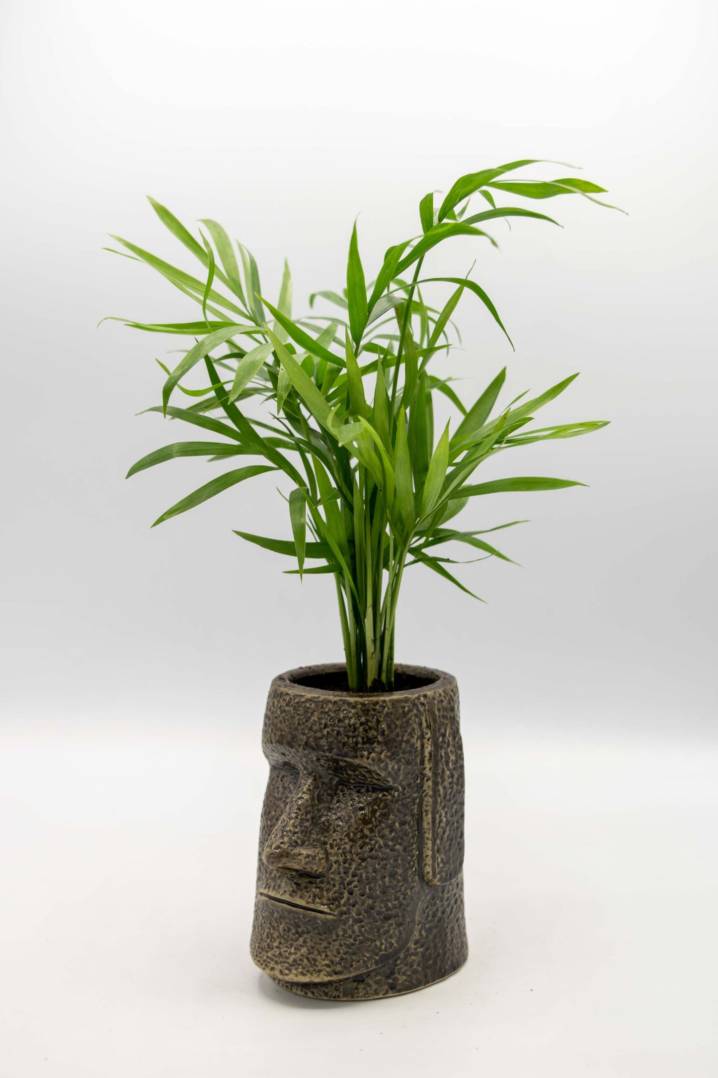 Easter Island Head Planter