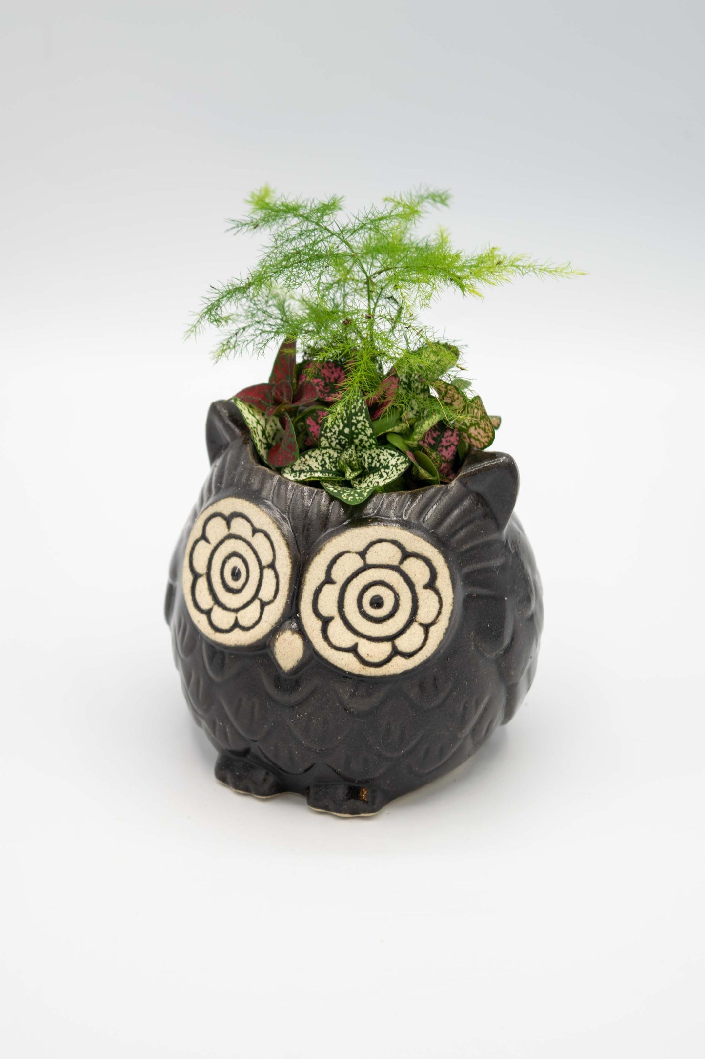Owl Small Planter