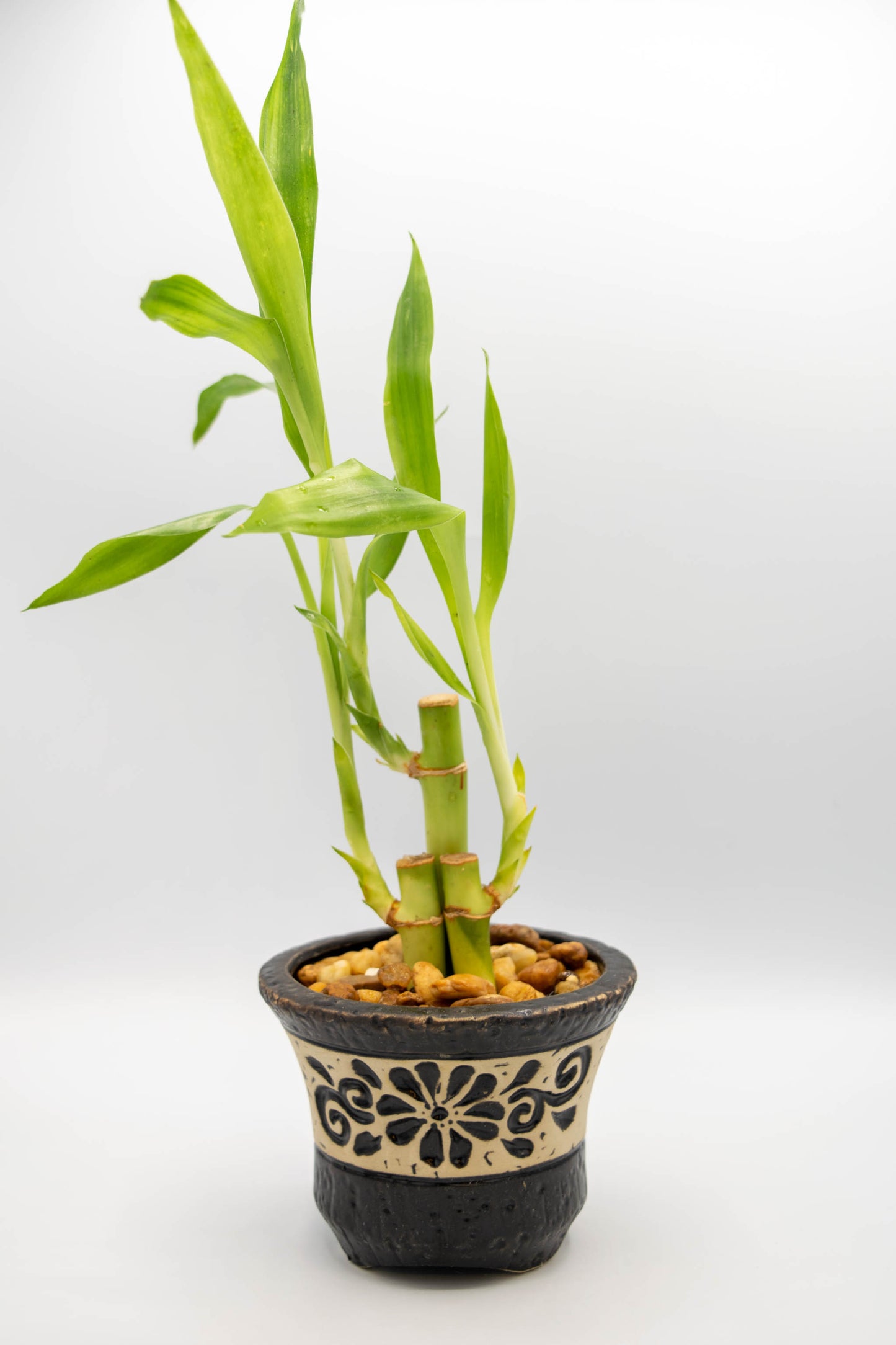 Ceramic Circular Floral Planter Large