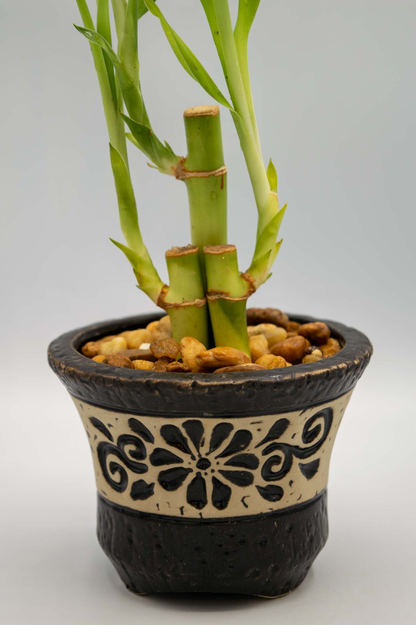 Ceramic Circular Floral Planter Large
