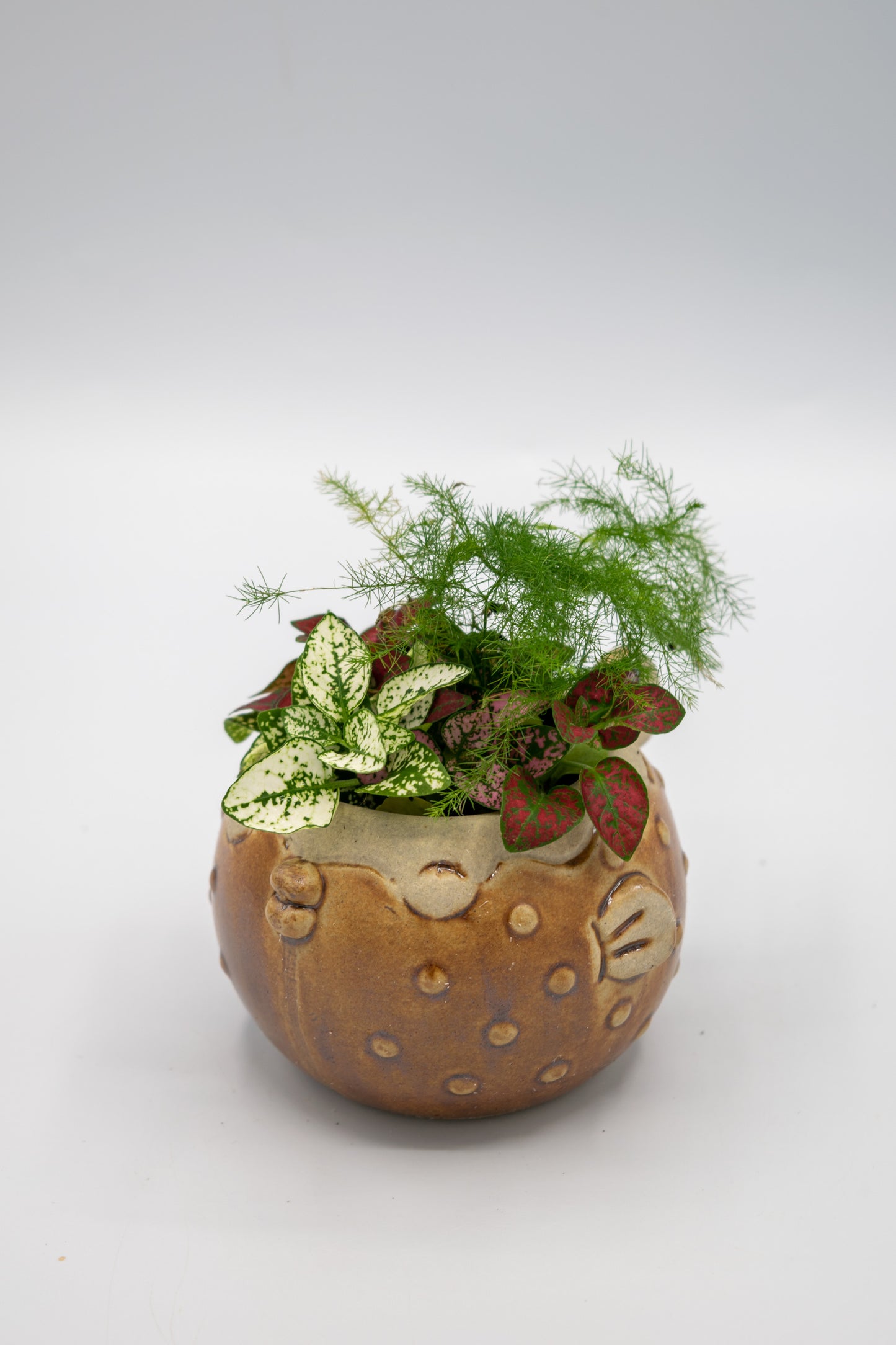 Blowfish Small Planter
