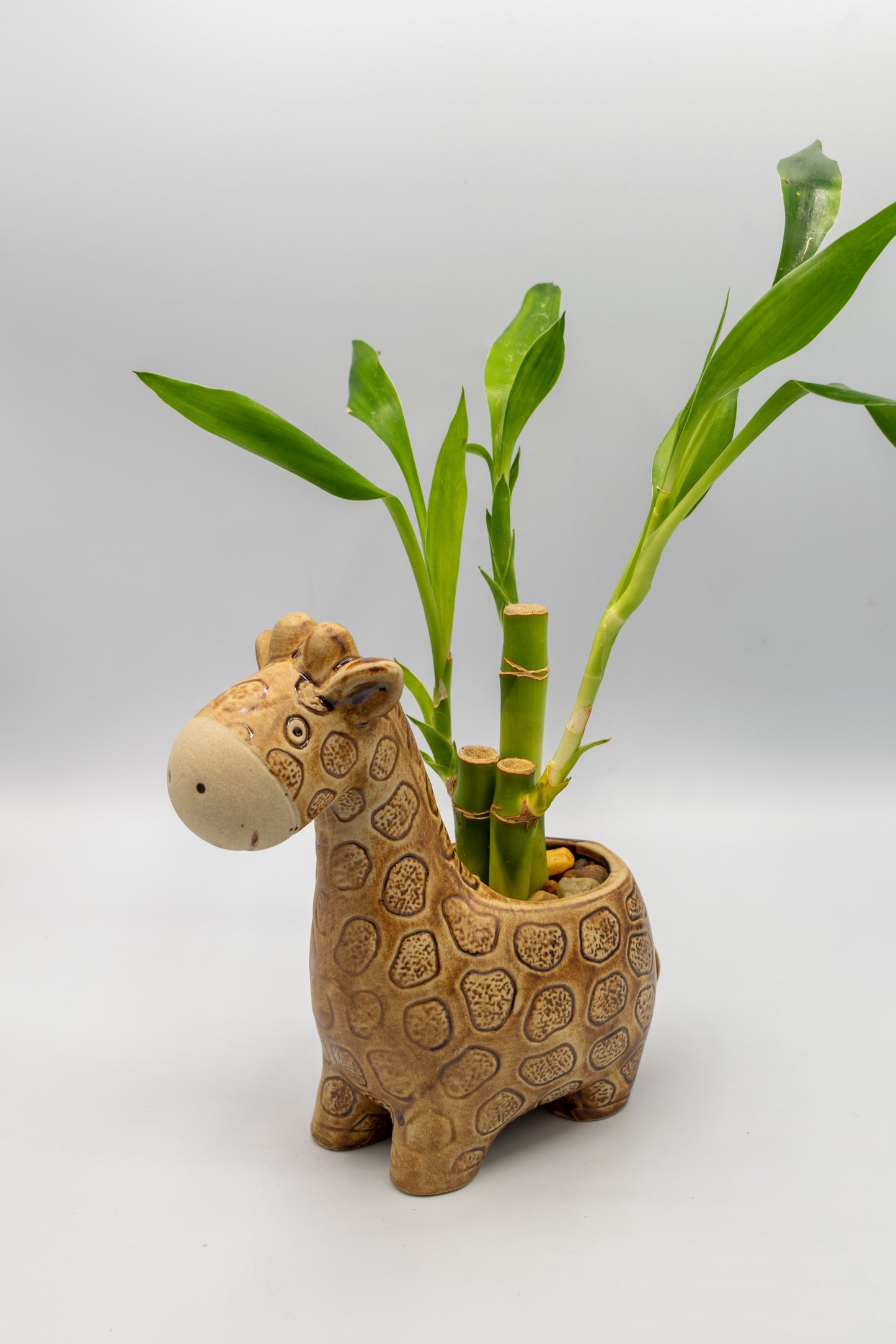 Giraffe Large Planter