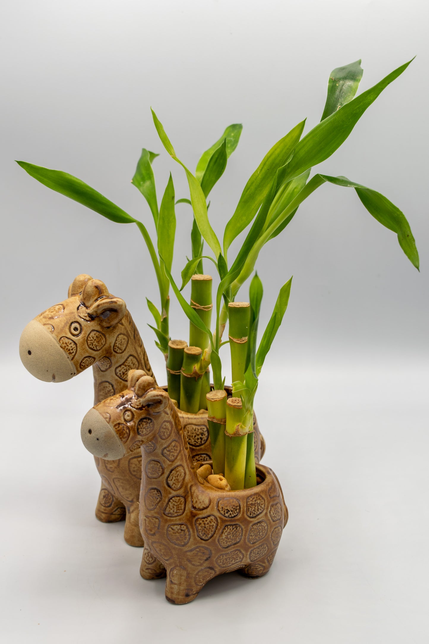Giraffe Small Planter