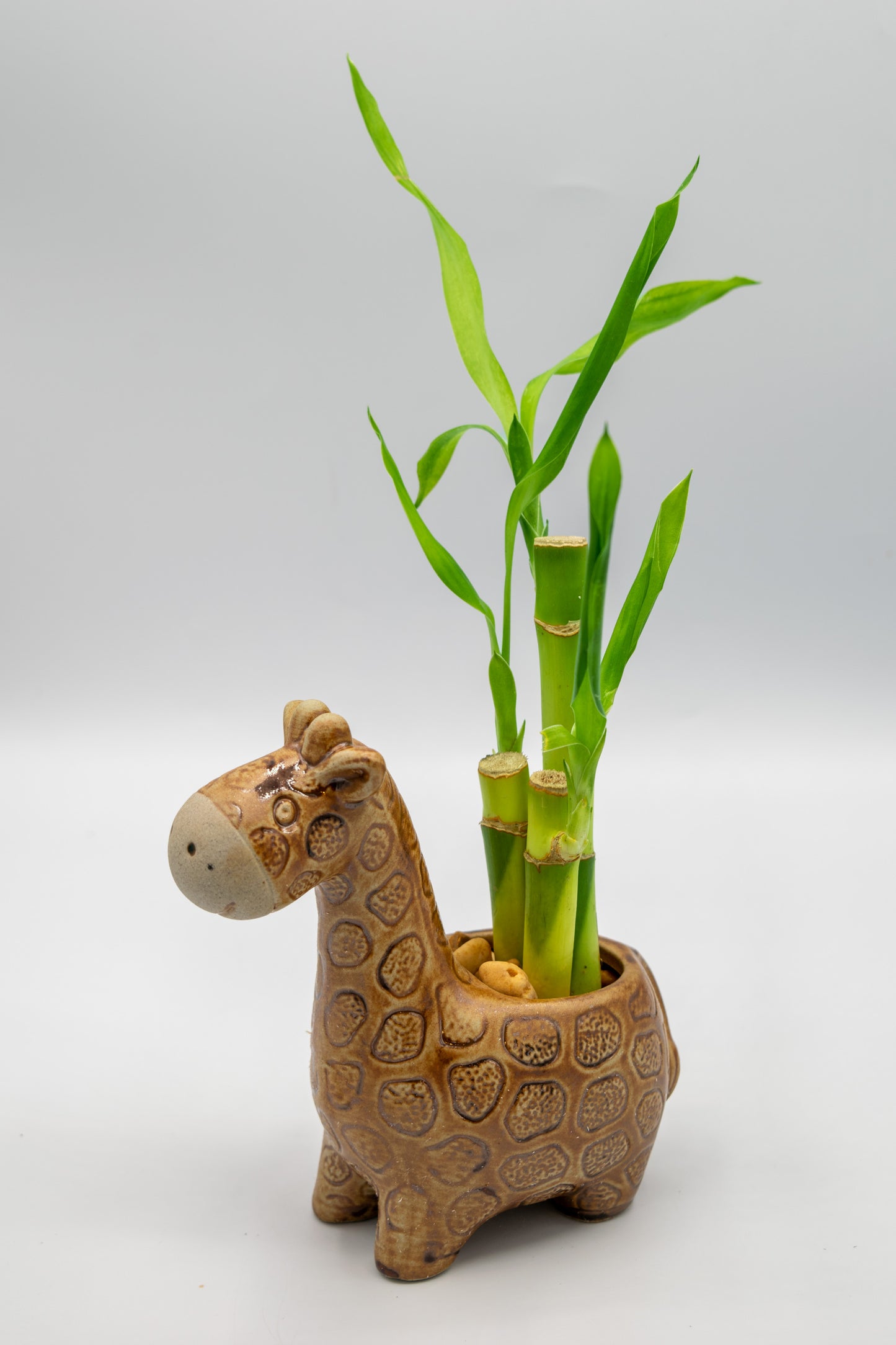 Giraffe Small Planter
