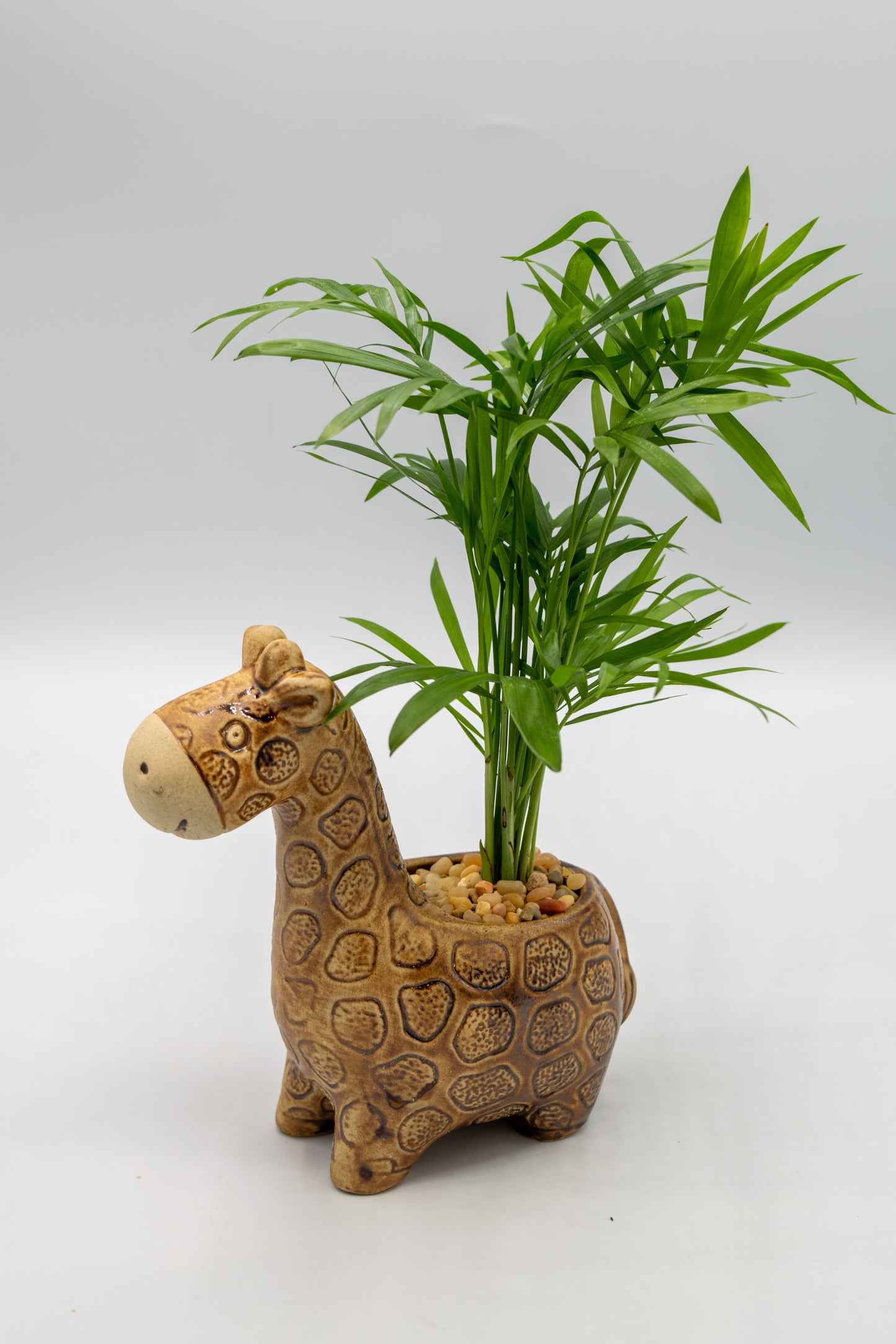 Giraffe Large Planter