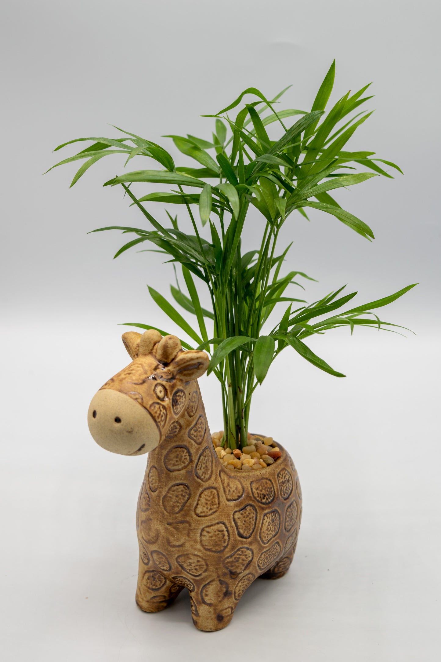 Giraffe Small Planter
