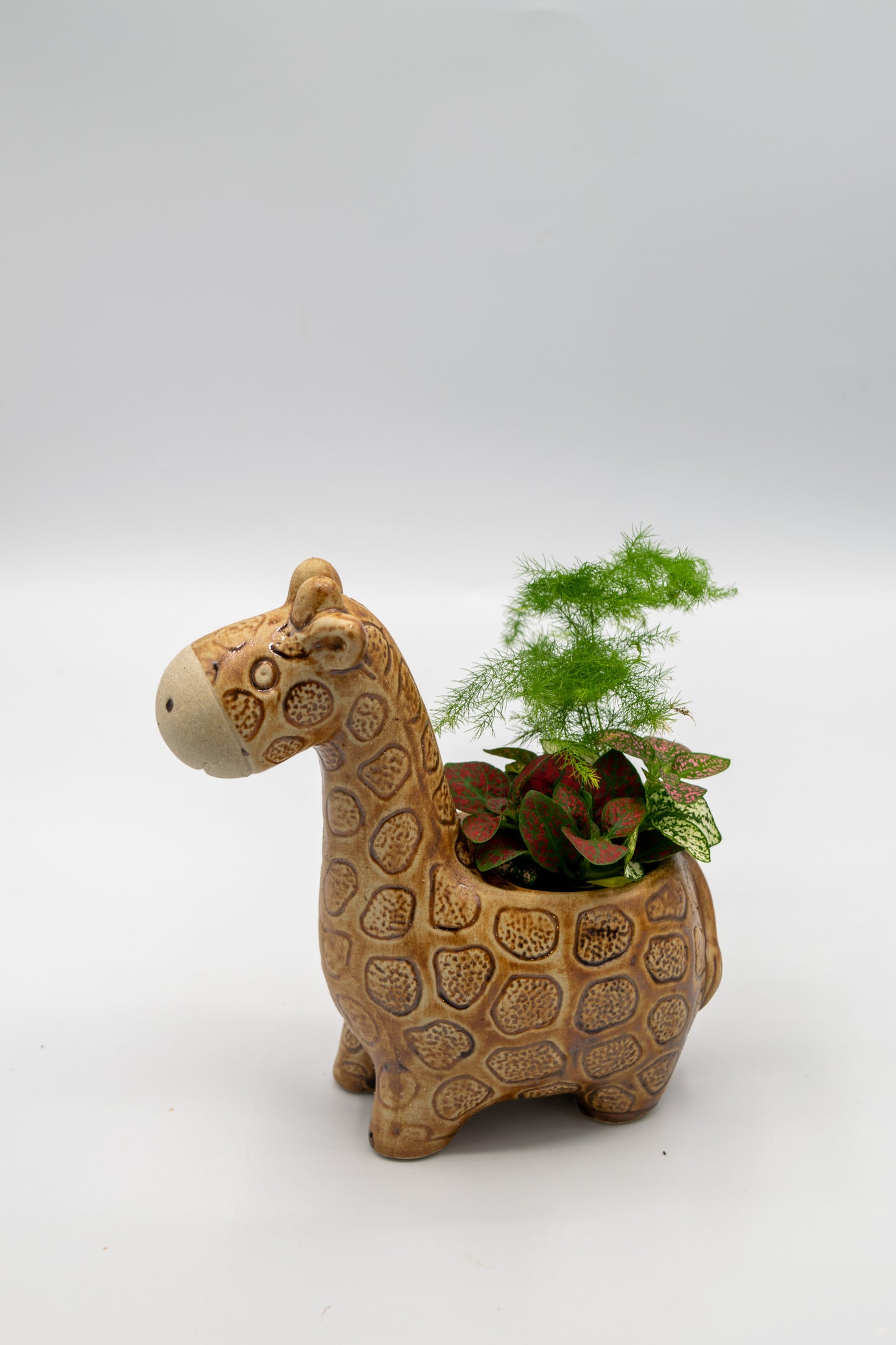 Giraffe Small Planter