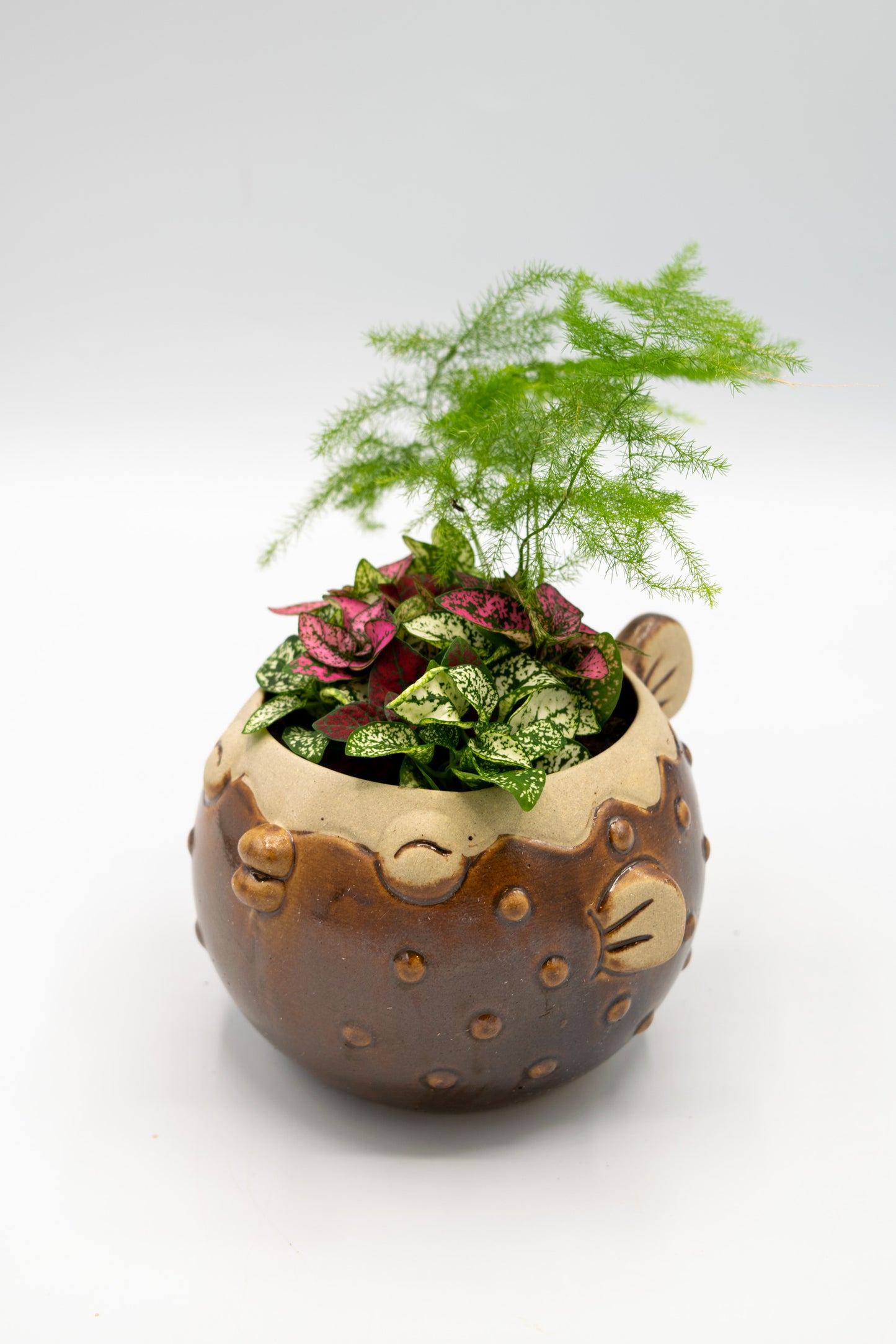 Blowfish Large Planter