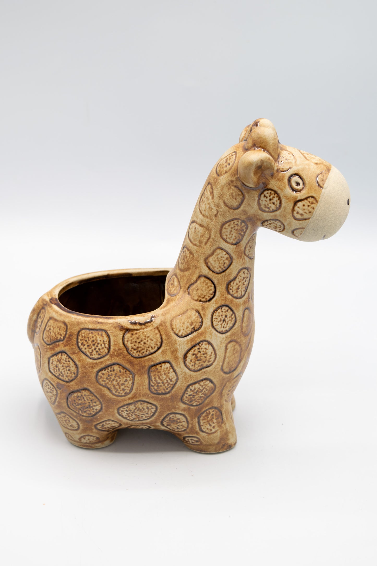 Giraffe Large Planter