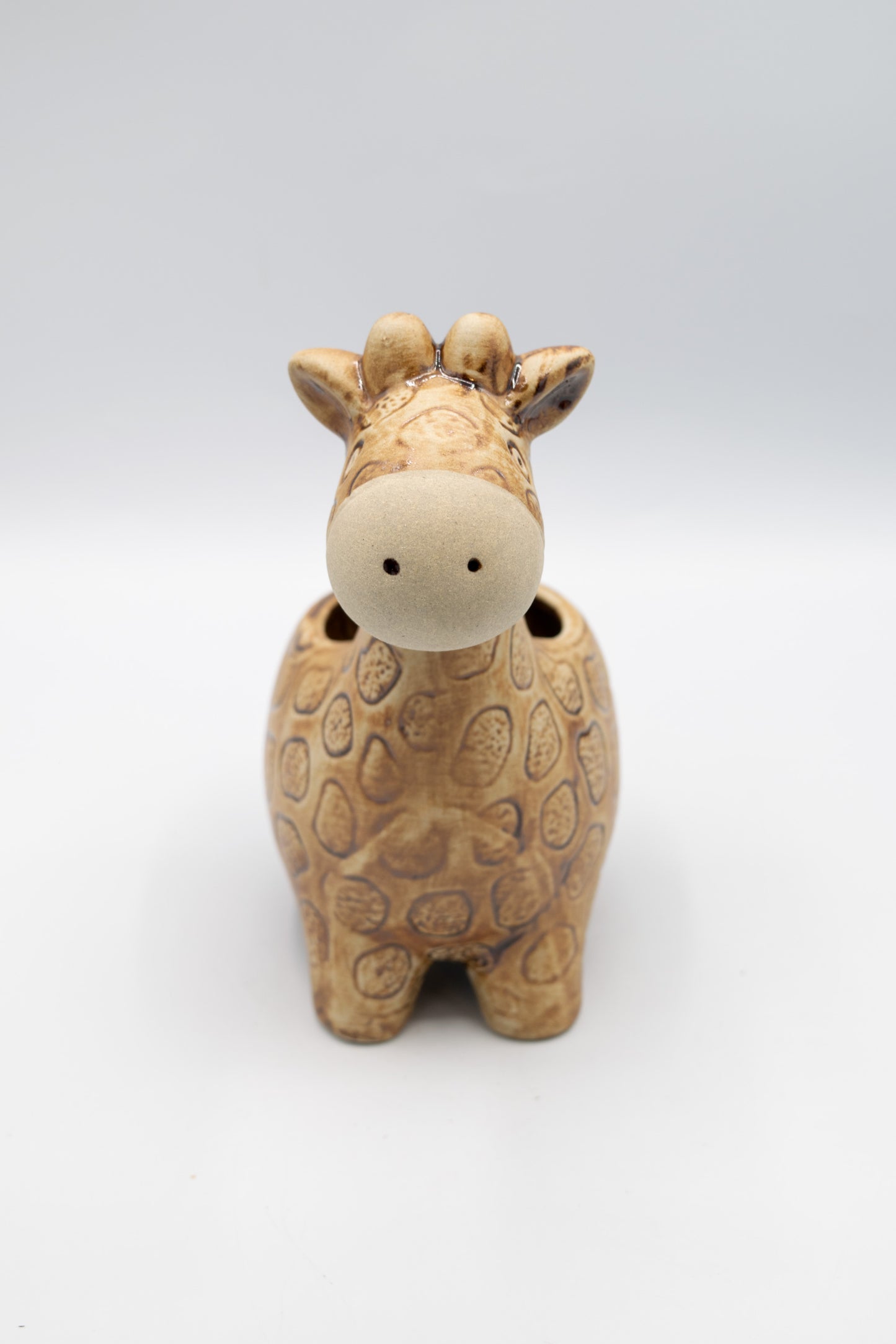 Giraffe Large Planter