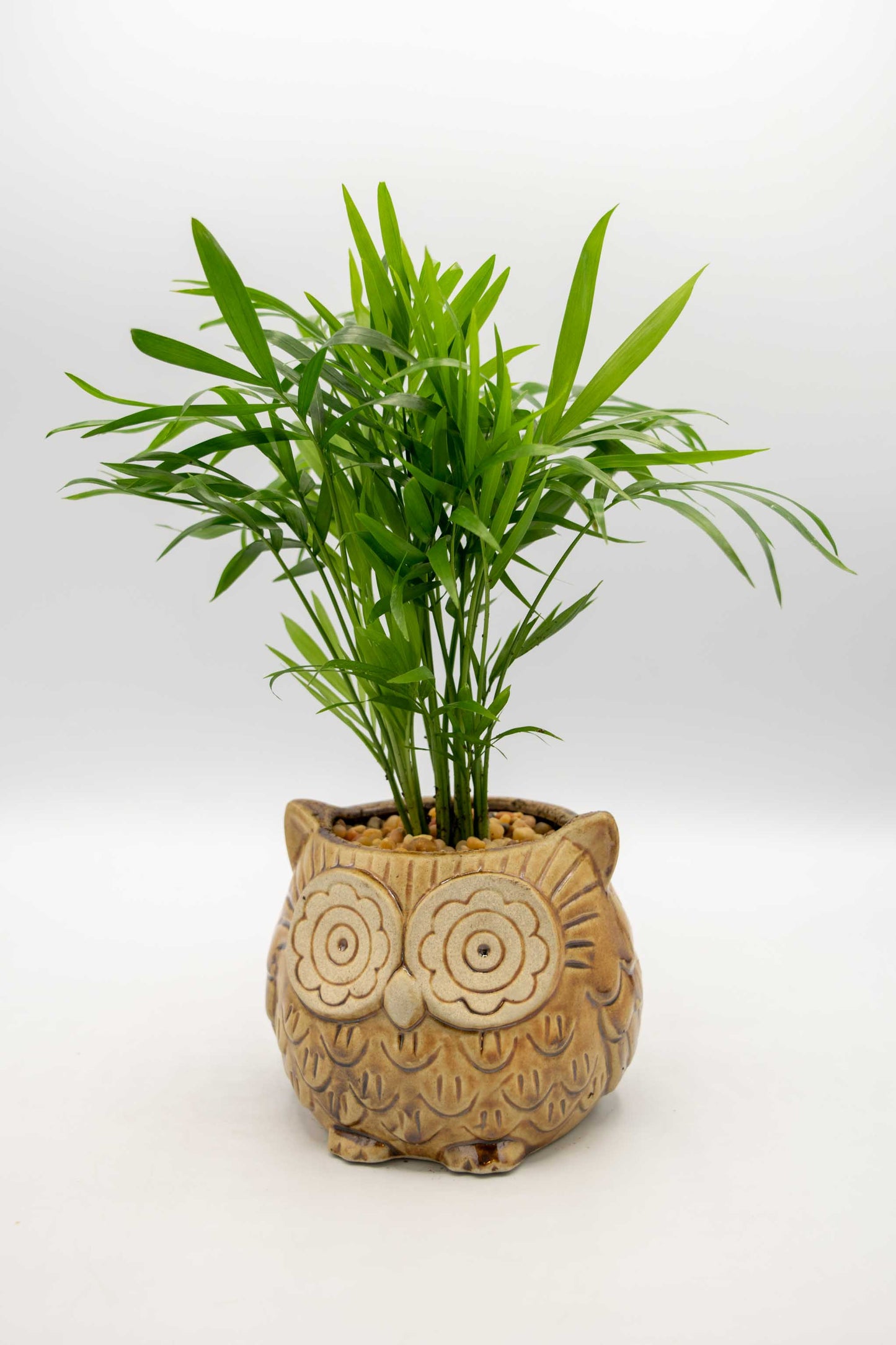 Owl Large Planter