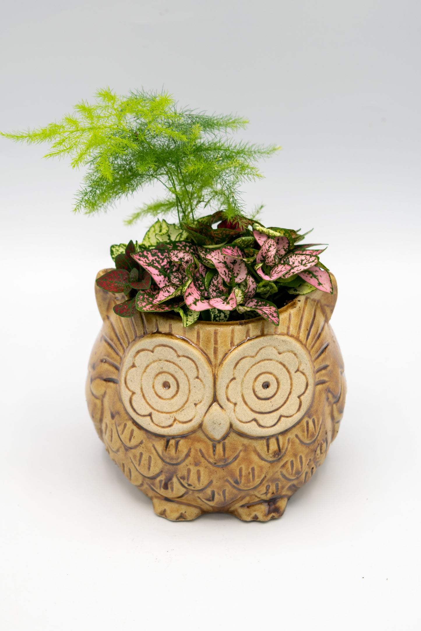 Owl Large Planter