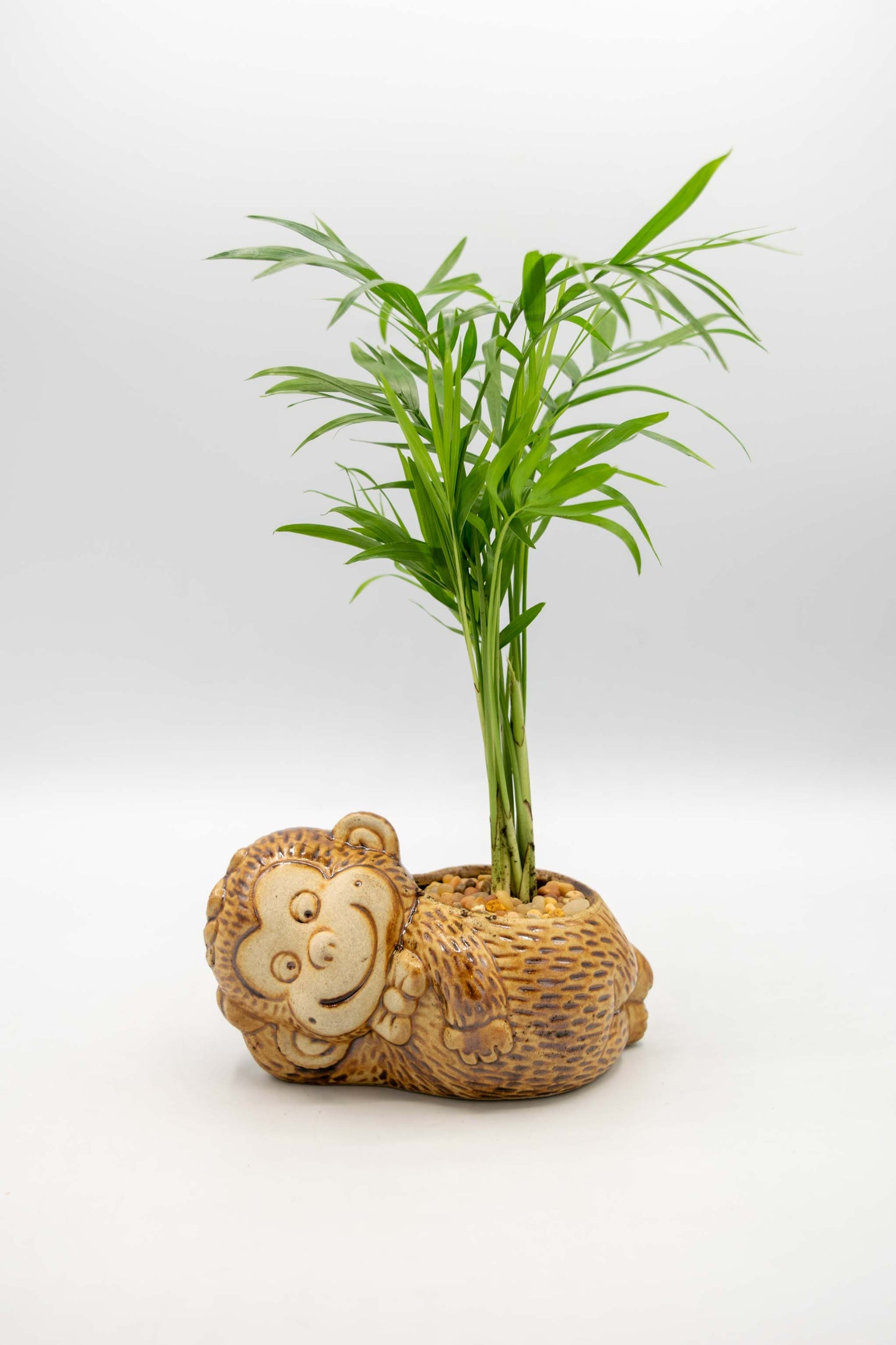 Monkey Bowtie Planter